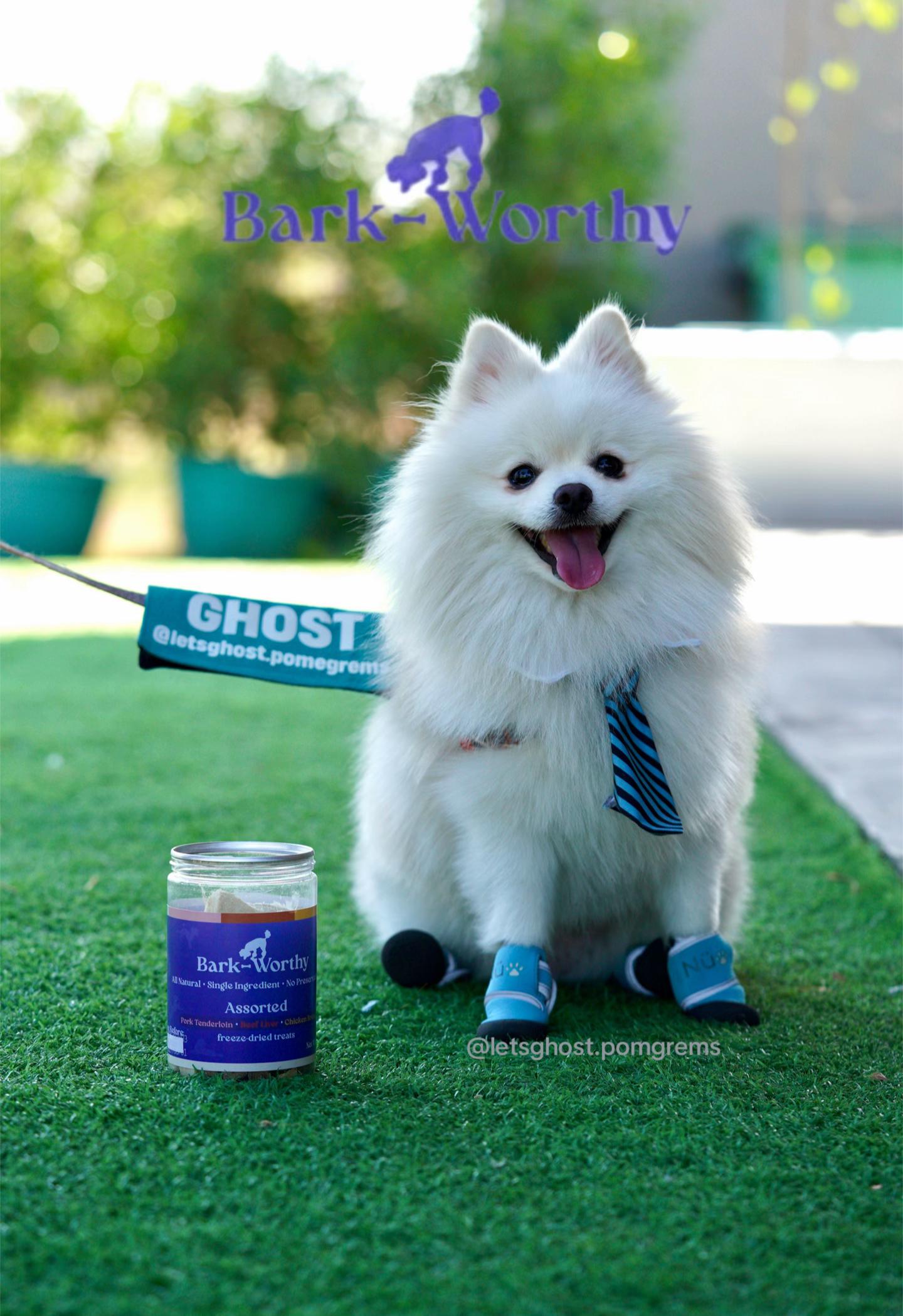 @G H O S T TheRunnerPom