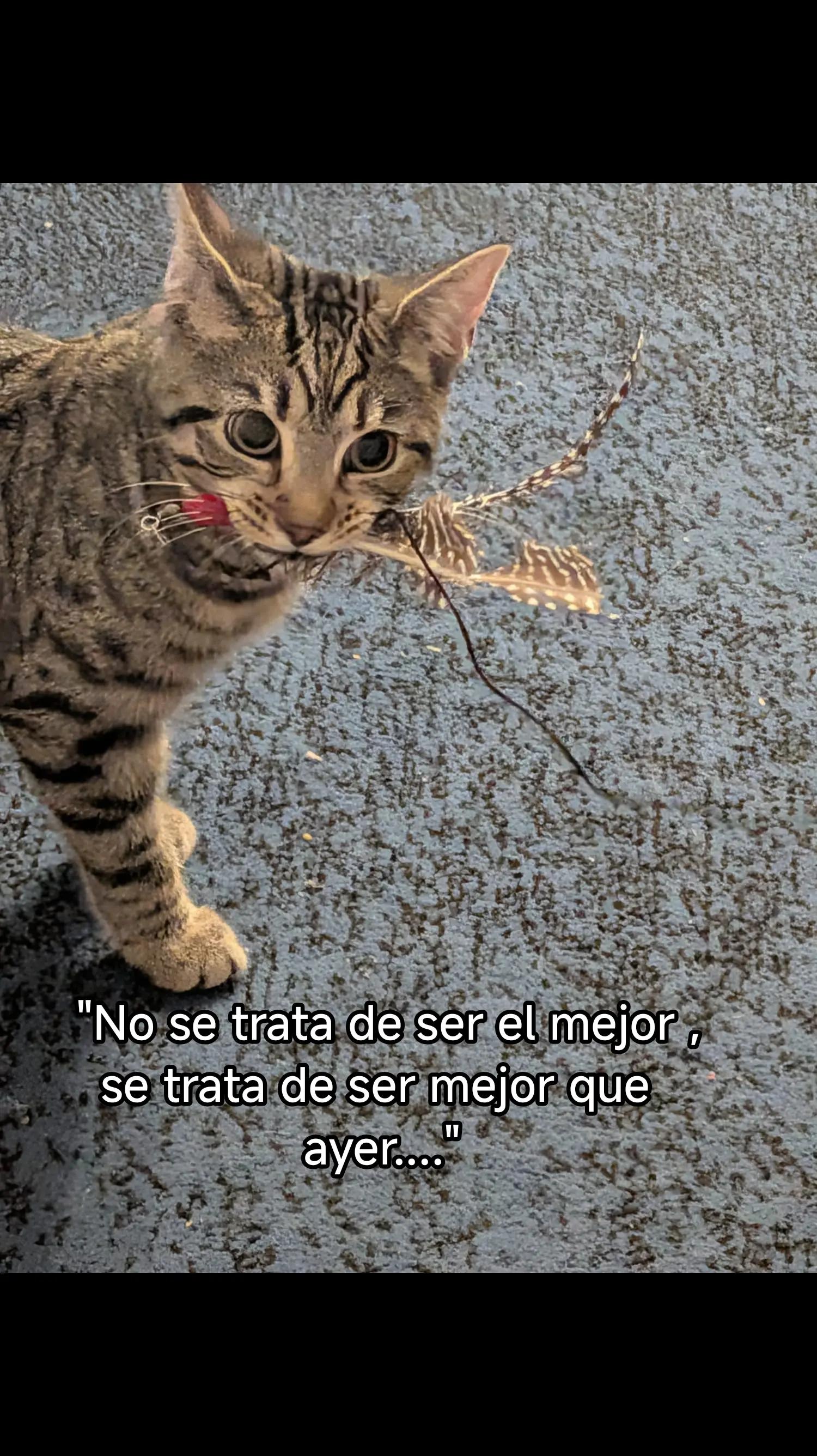 @Alda