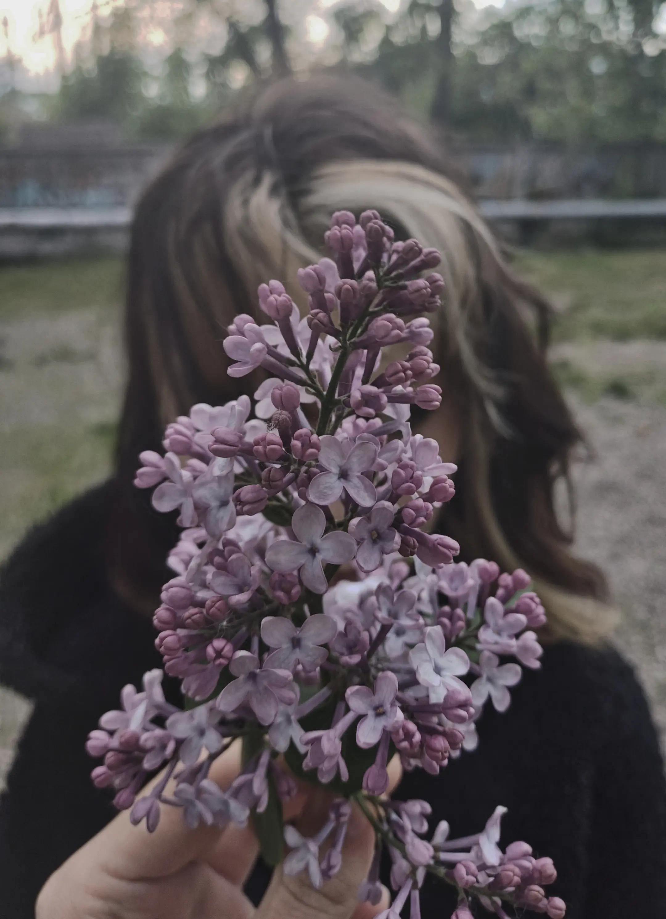 @дивзи