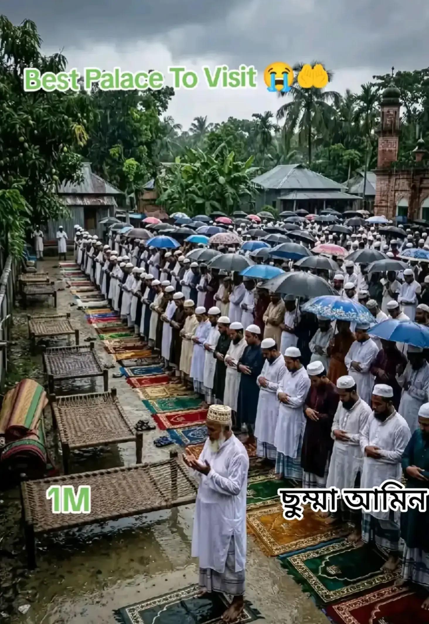 @﷽⍣⃝🌼হে্ঁদা্ঁয়ে্ঁঁতের নূর﷽⍣⃝🌼