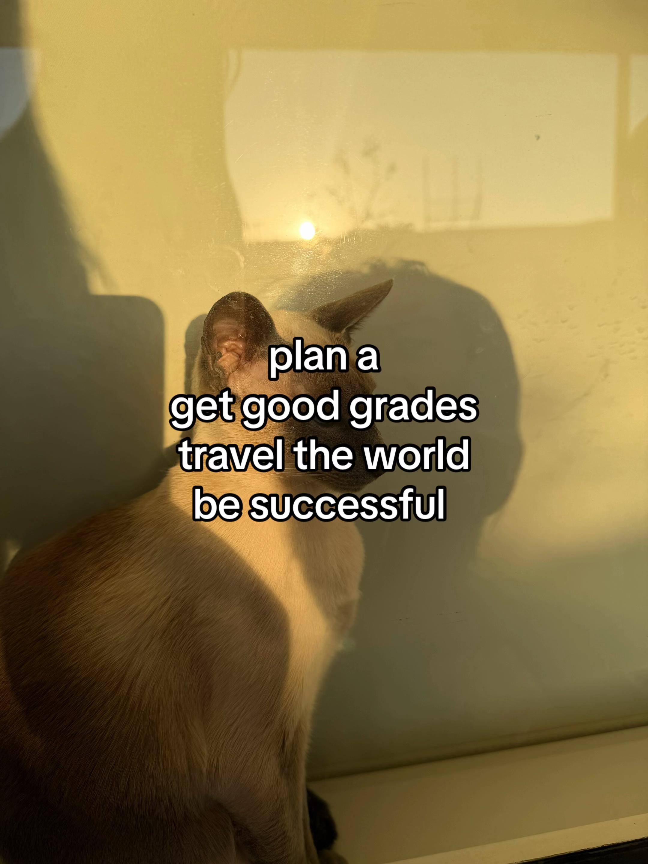@⊹ ࣪ ˖