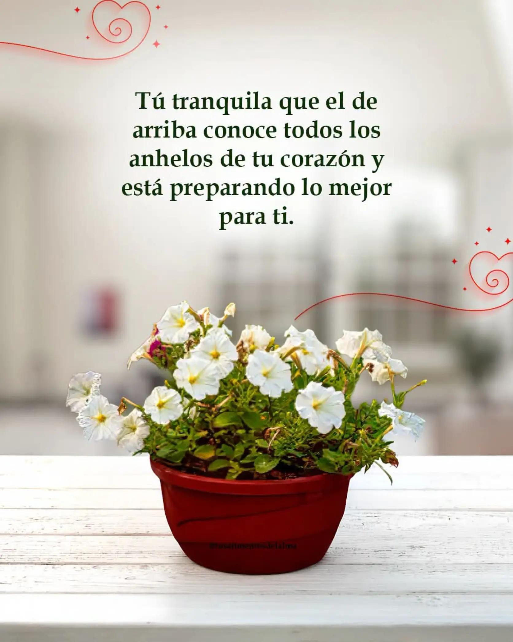 @Ojitos 💚