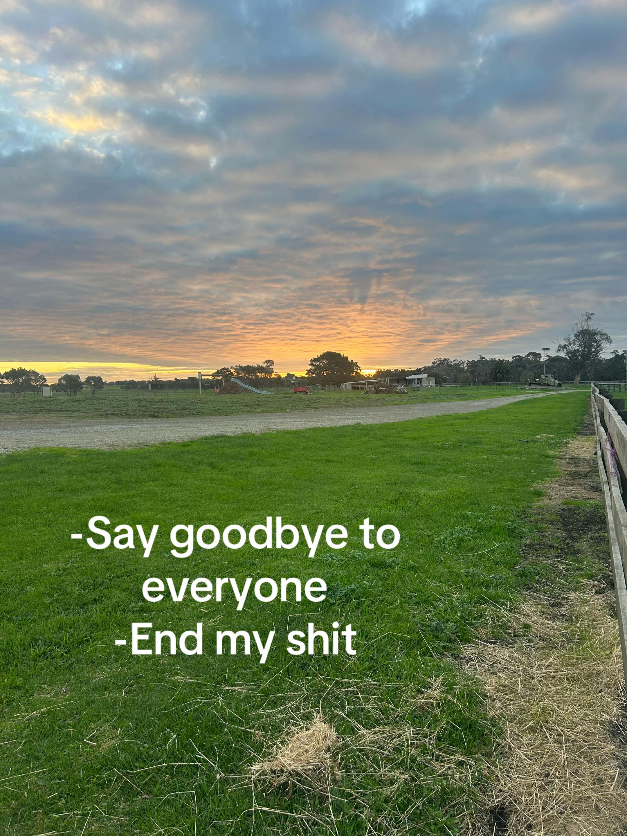 @Tilly Mead