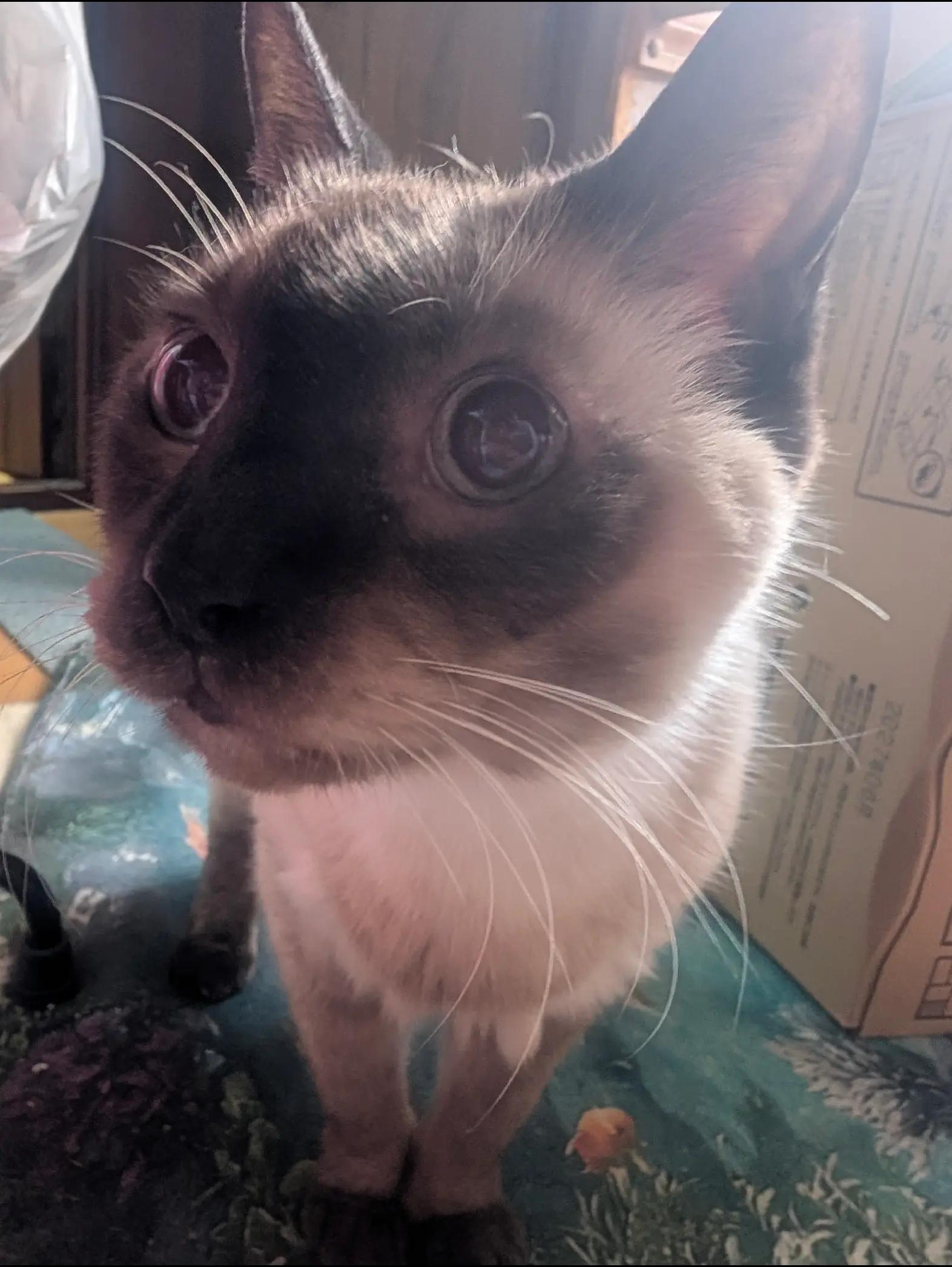 @睡眠プロデュース