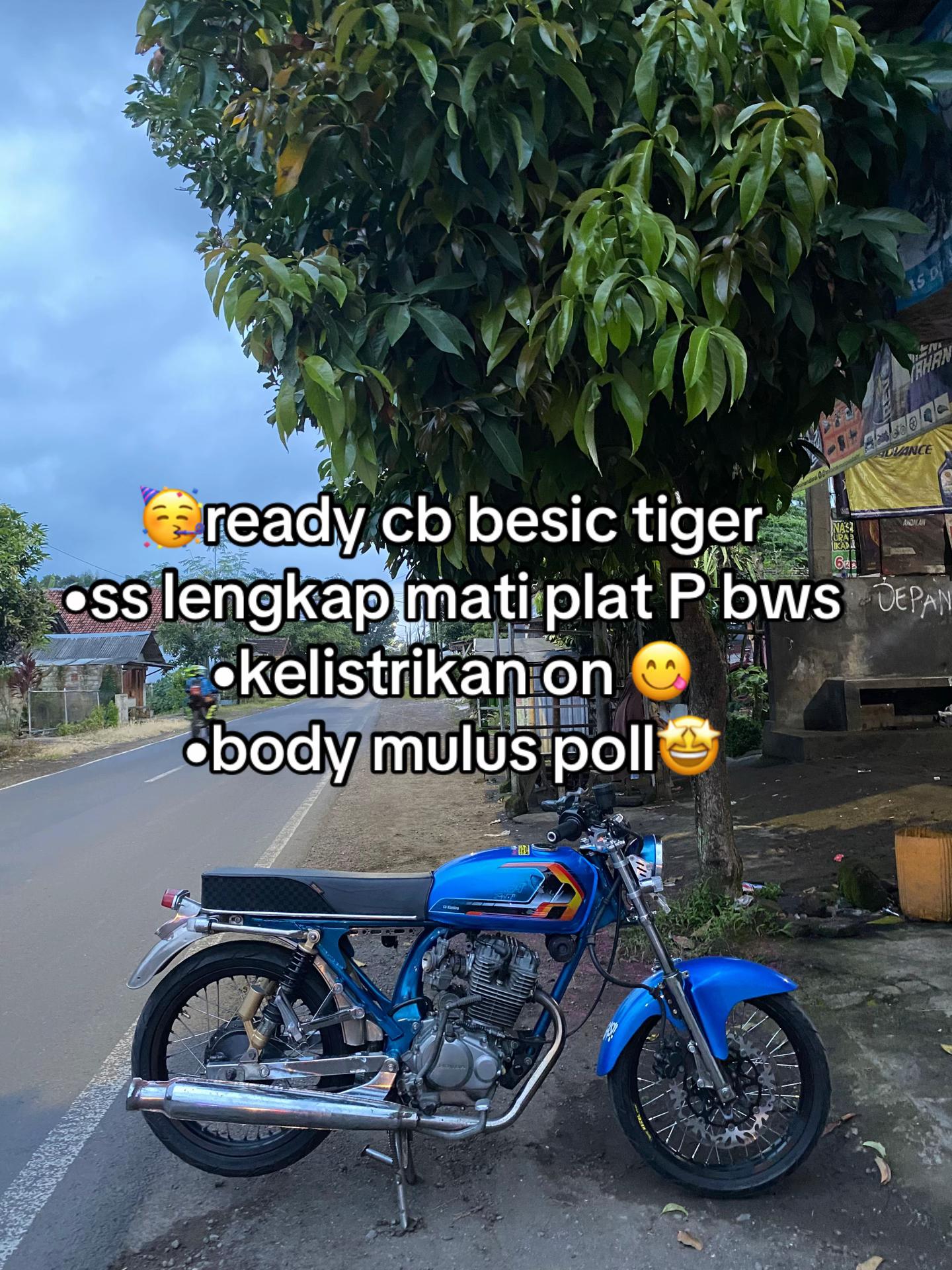 @ebid thole