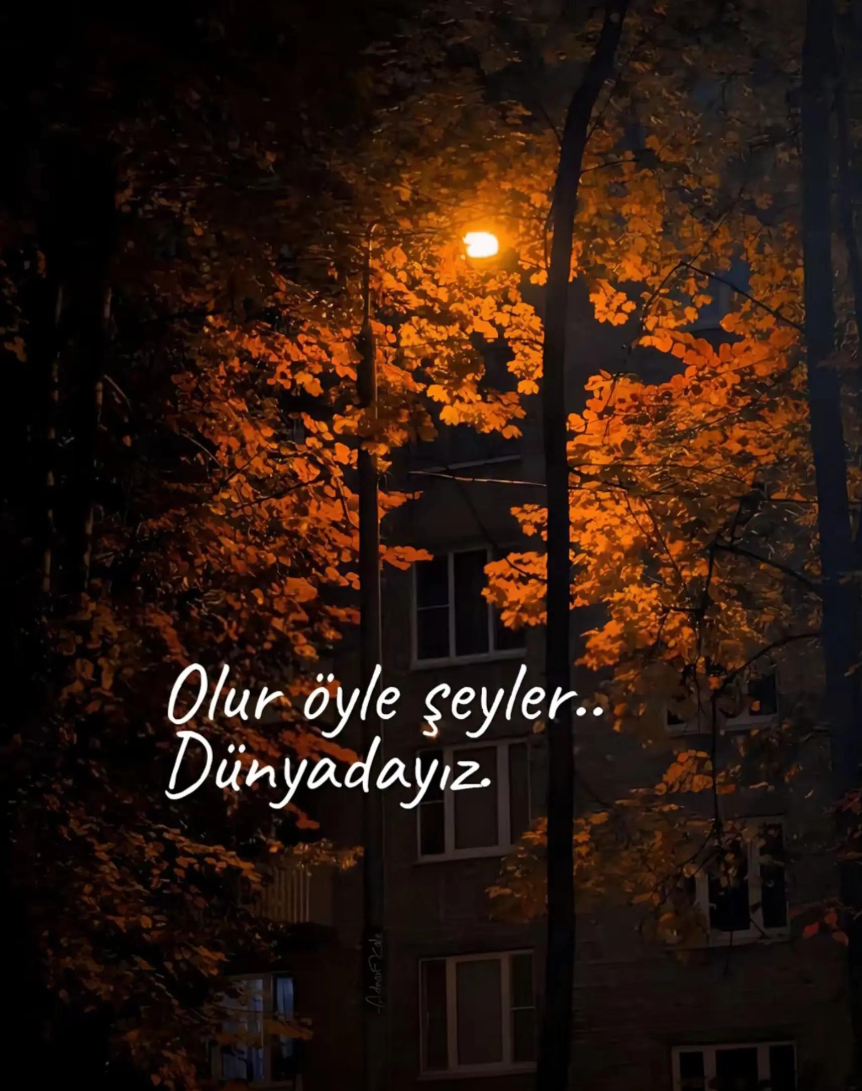 @Umut Şen