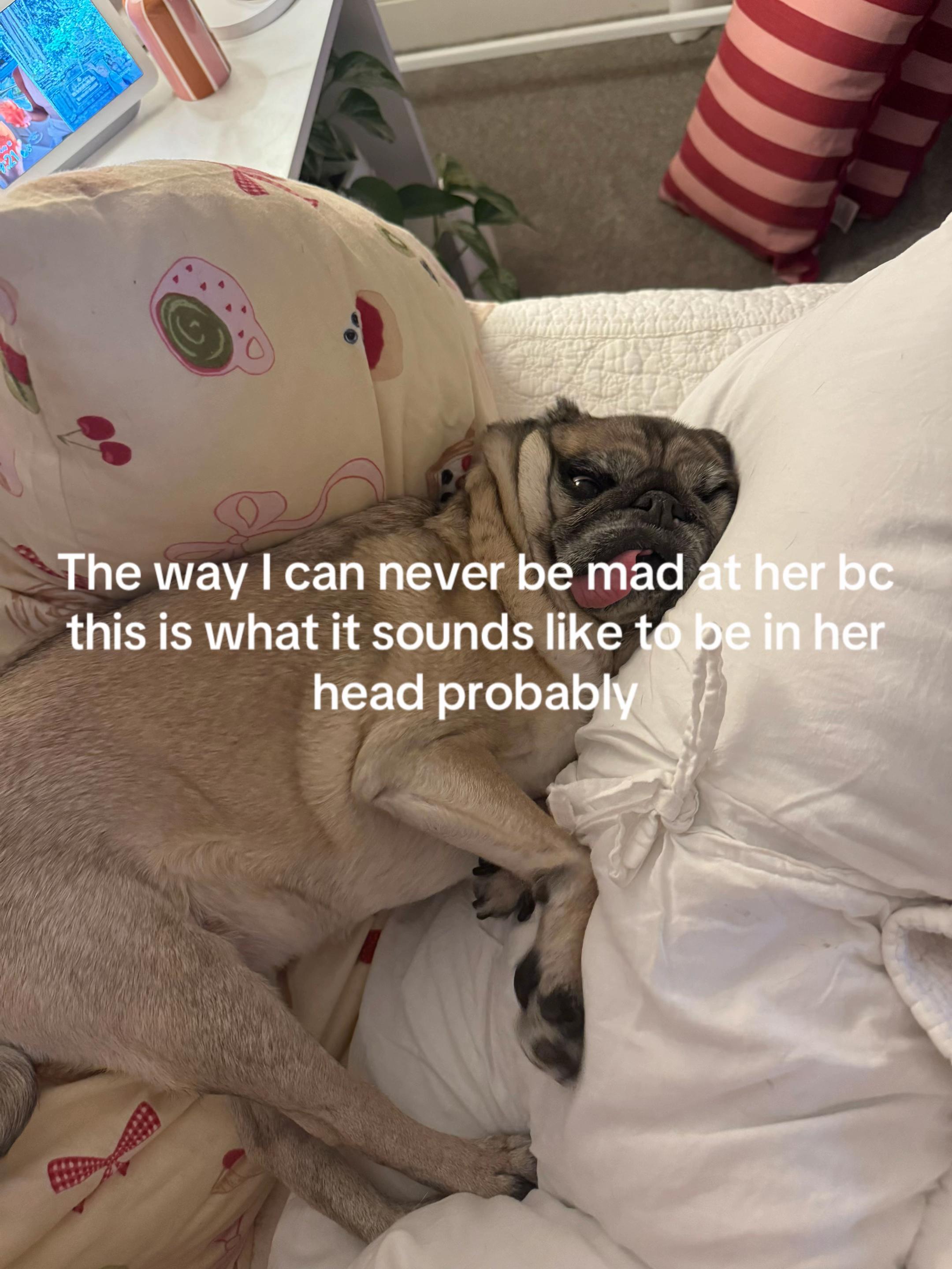 @Feebee