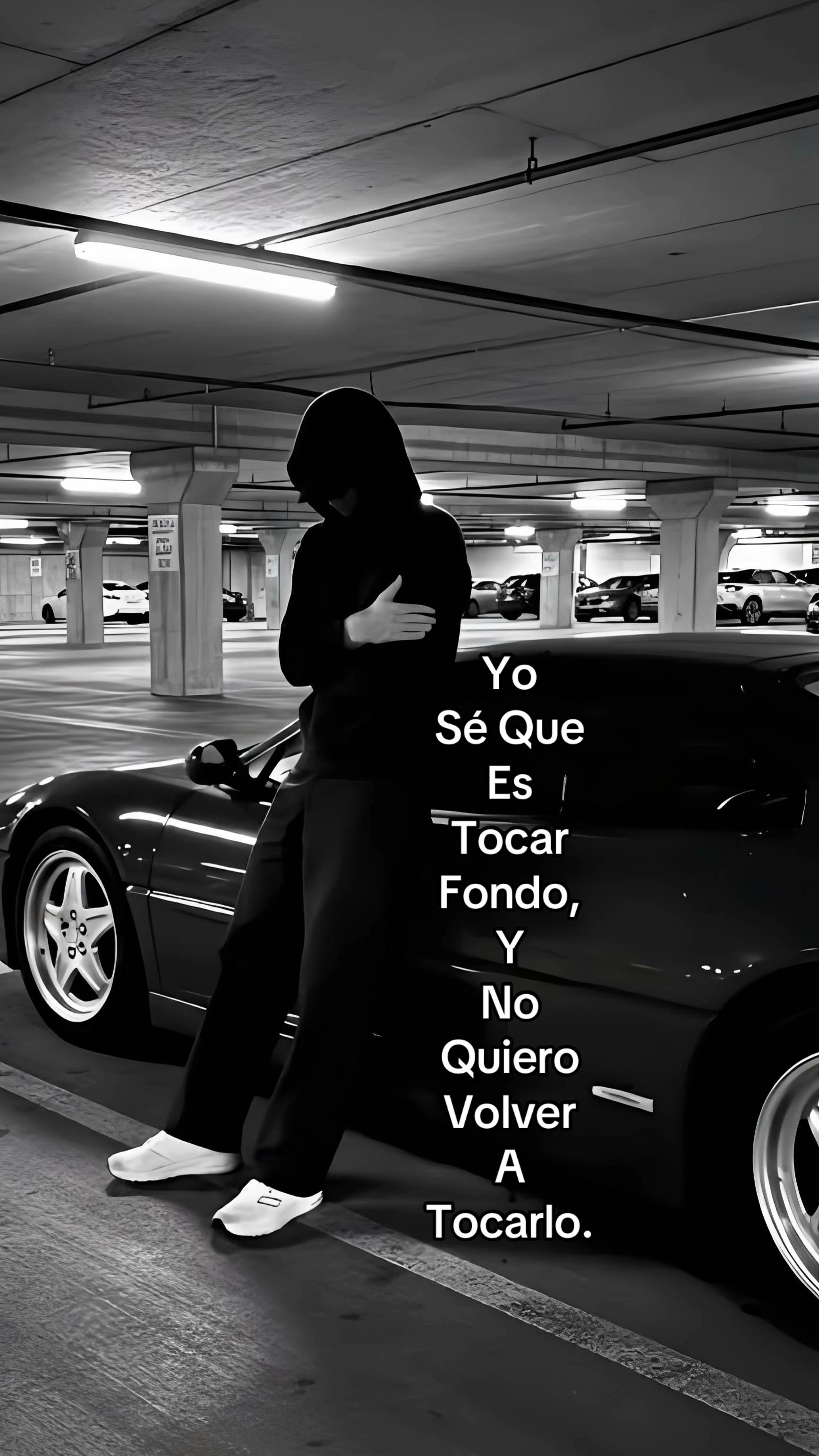 @rqv_fx