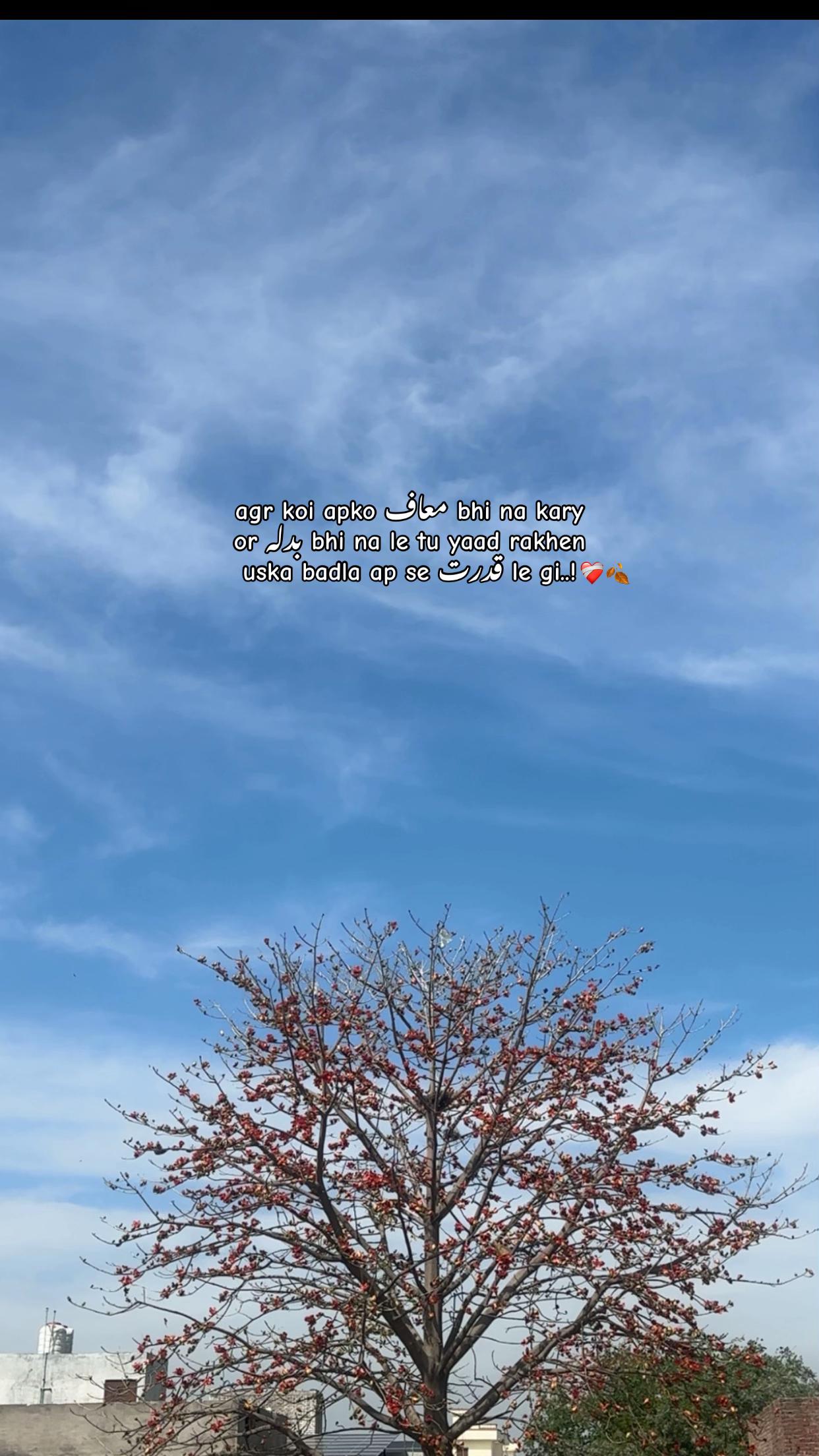 @صاحِبہ 🖤