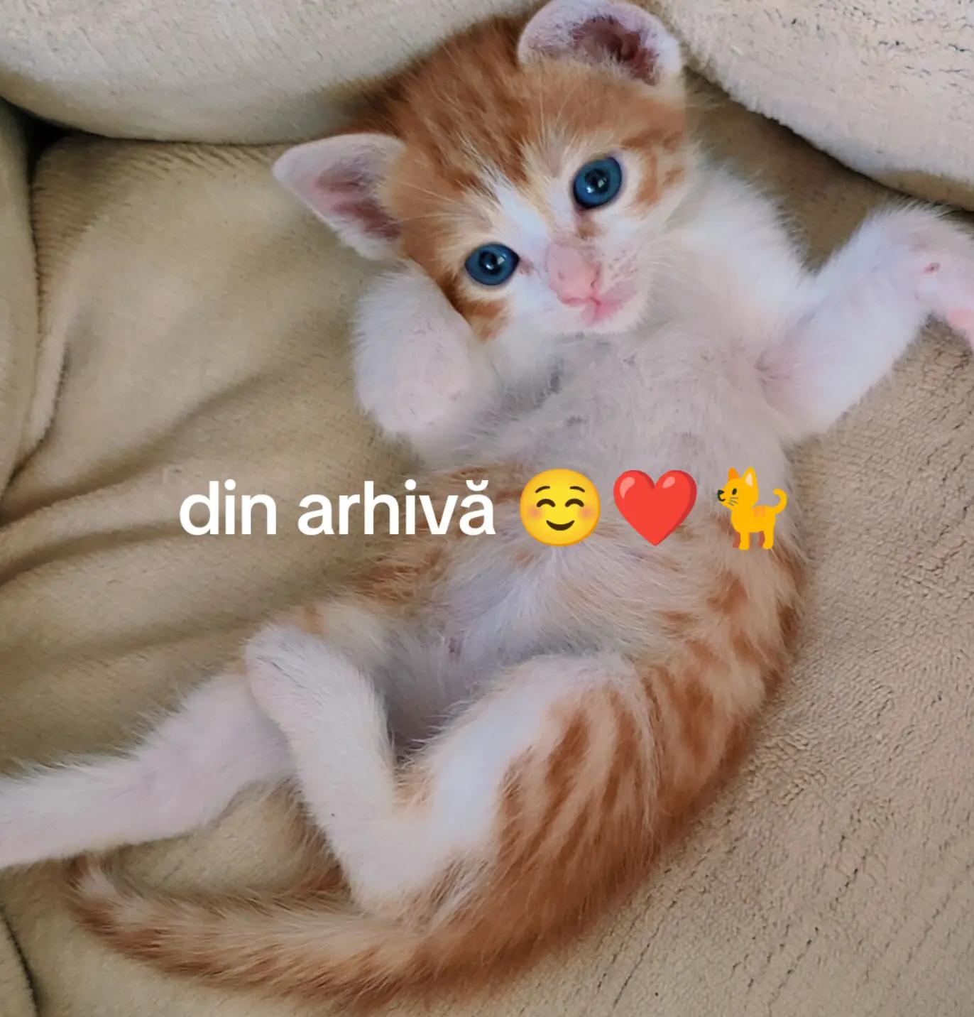 @Naty