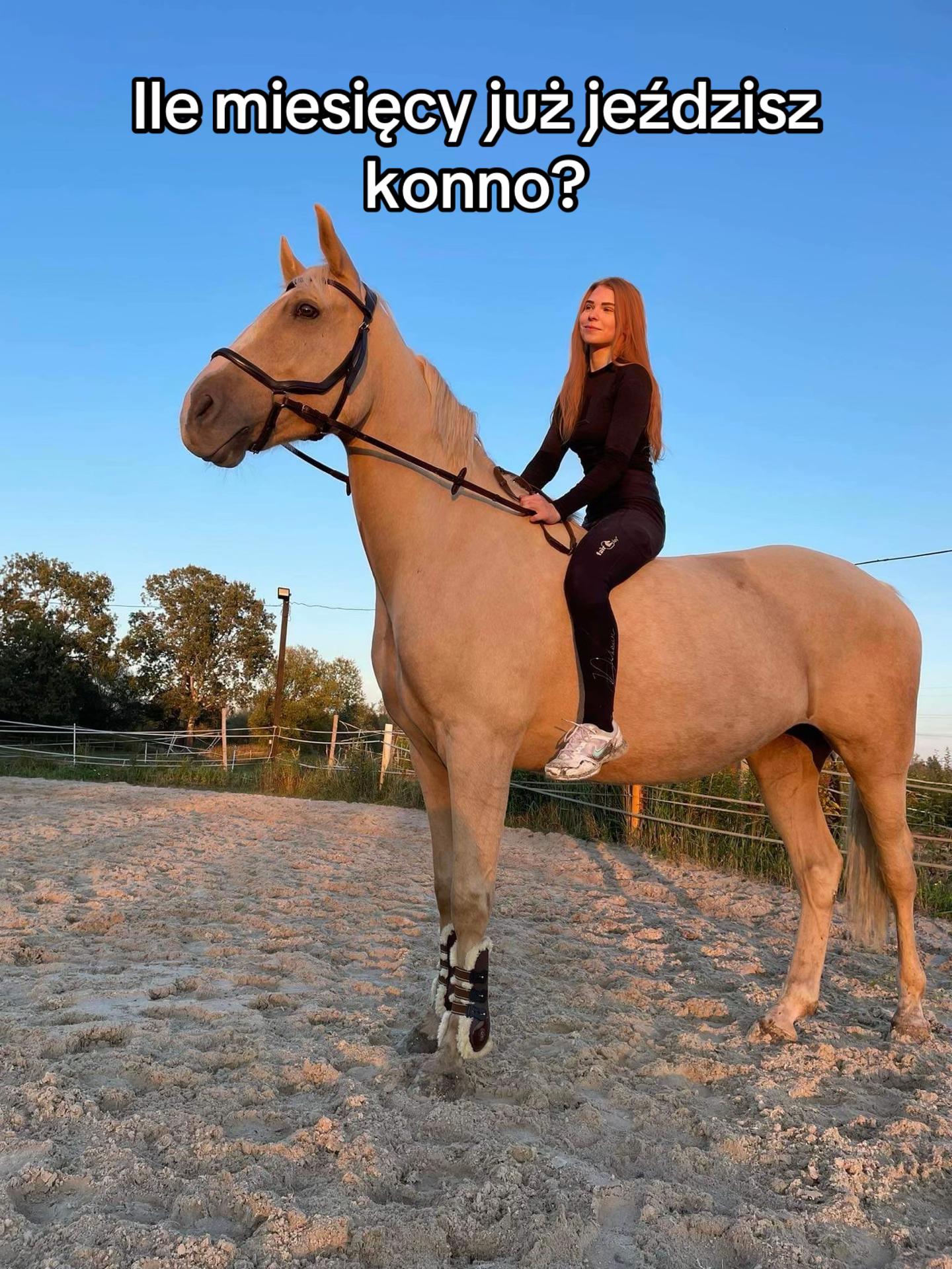 @WS_Trener_Koni_Jeźdźców