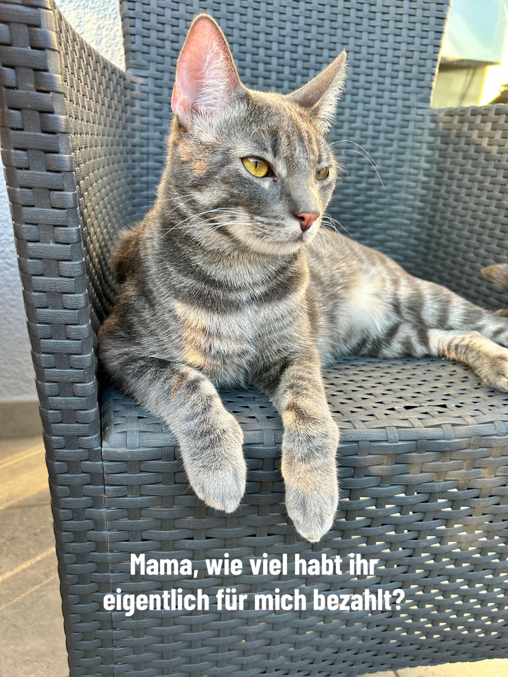@Jana🤍