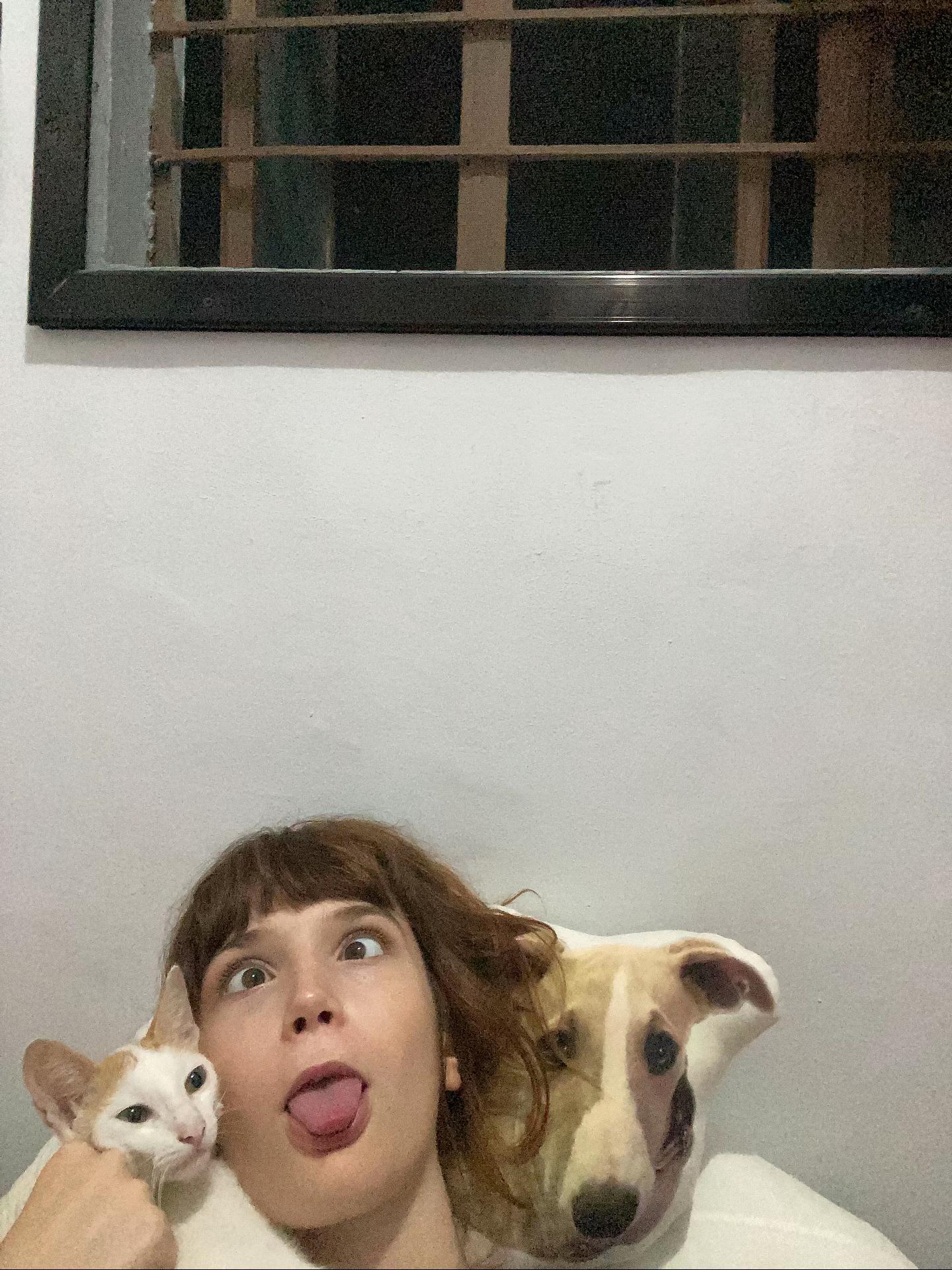 @dookcumber