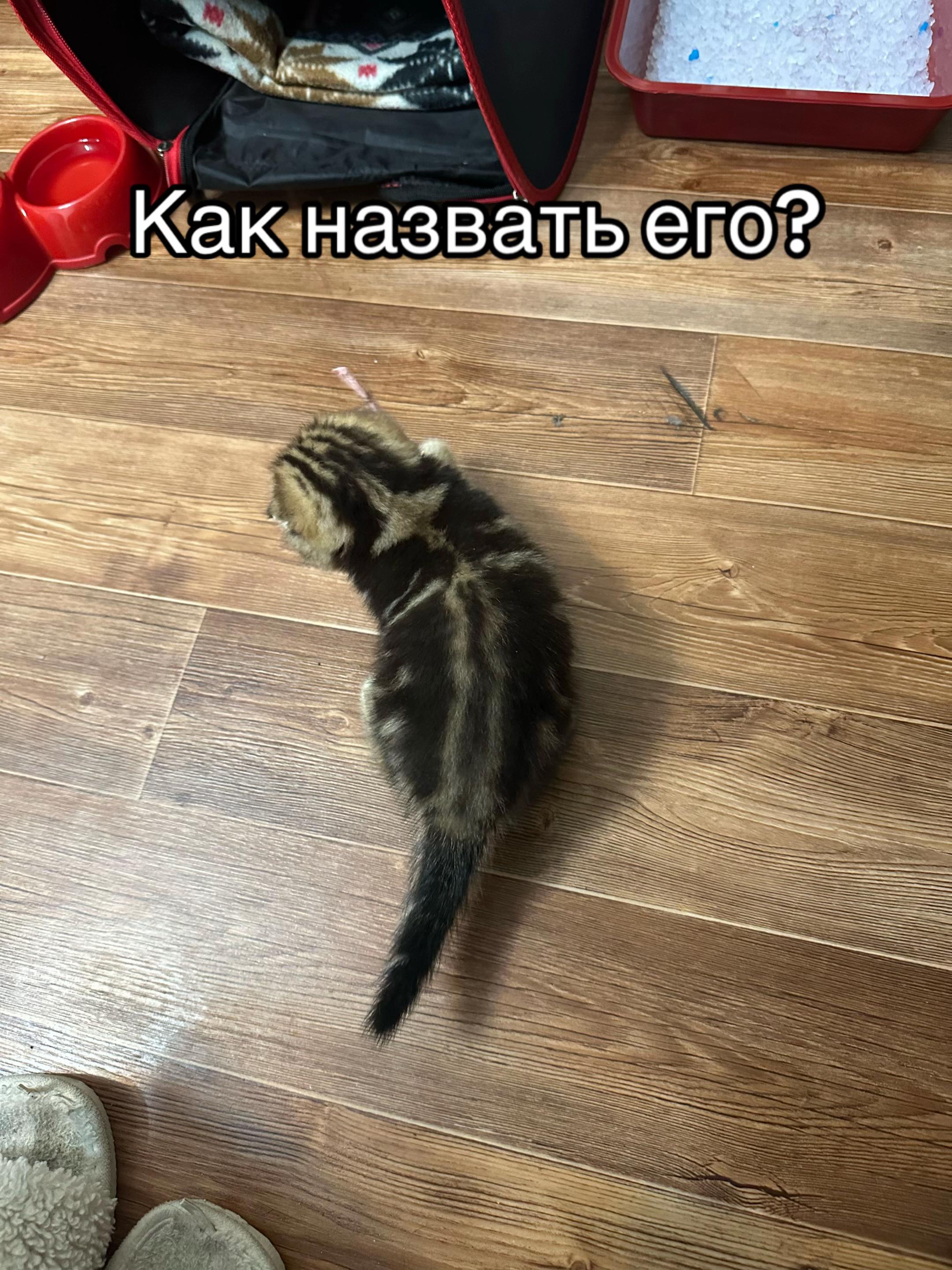 @я&ensp;твоё&ensp;всё