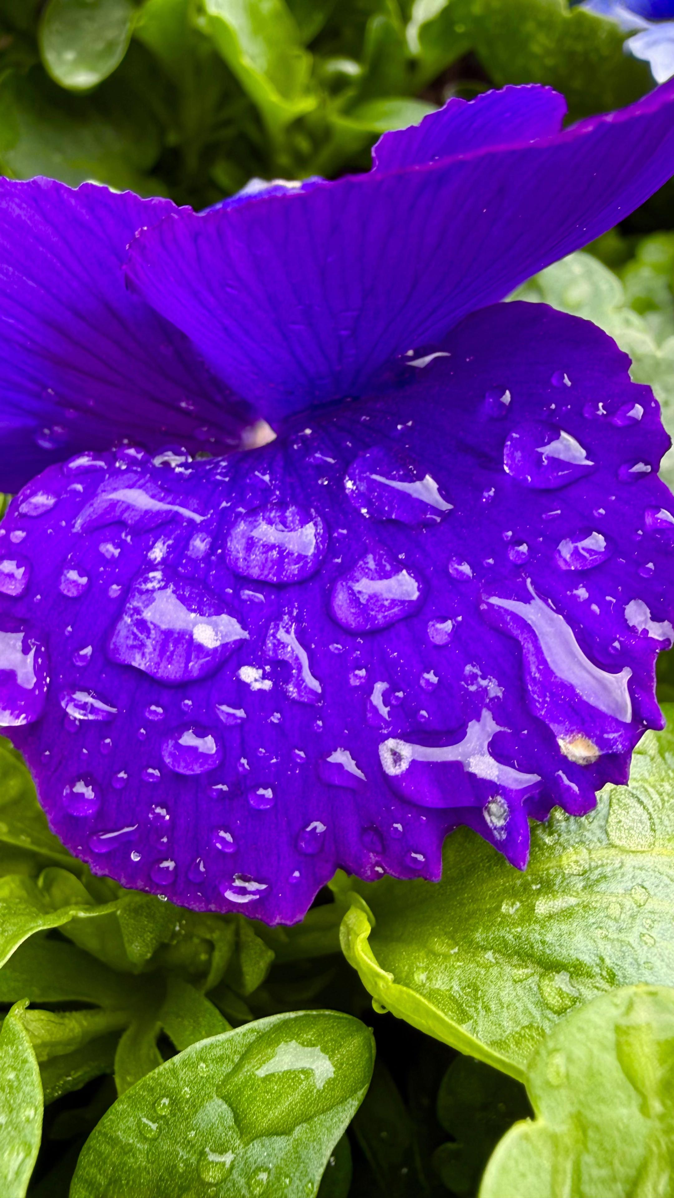 @NatureArts