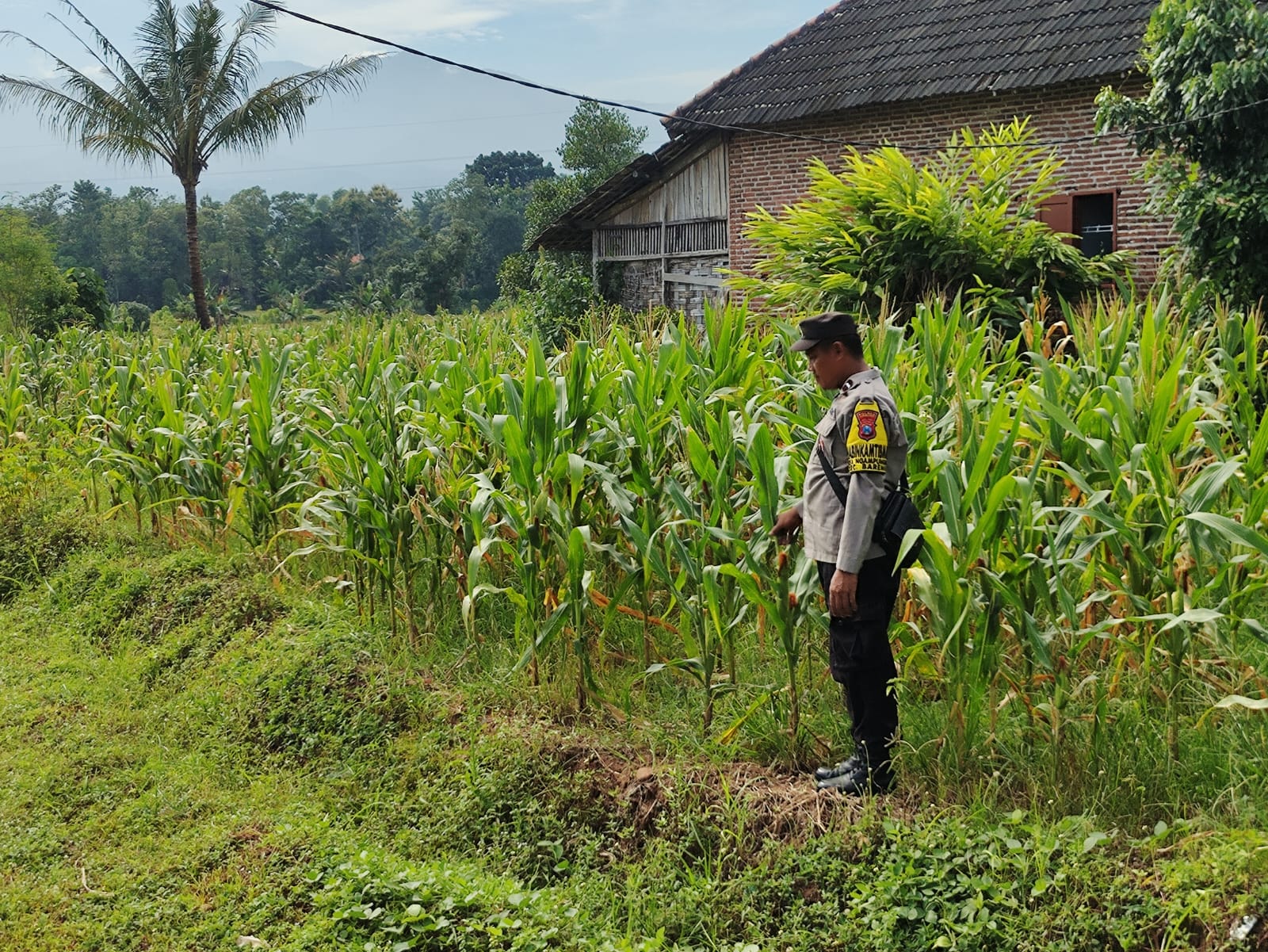 @polseksumobito1
