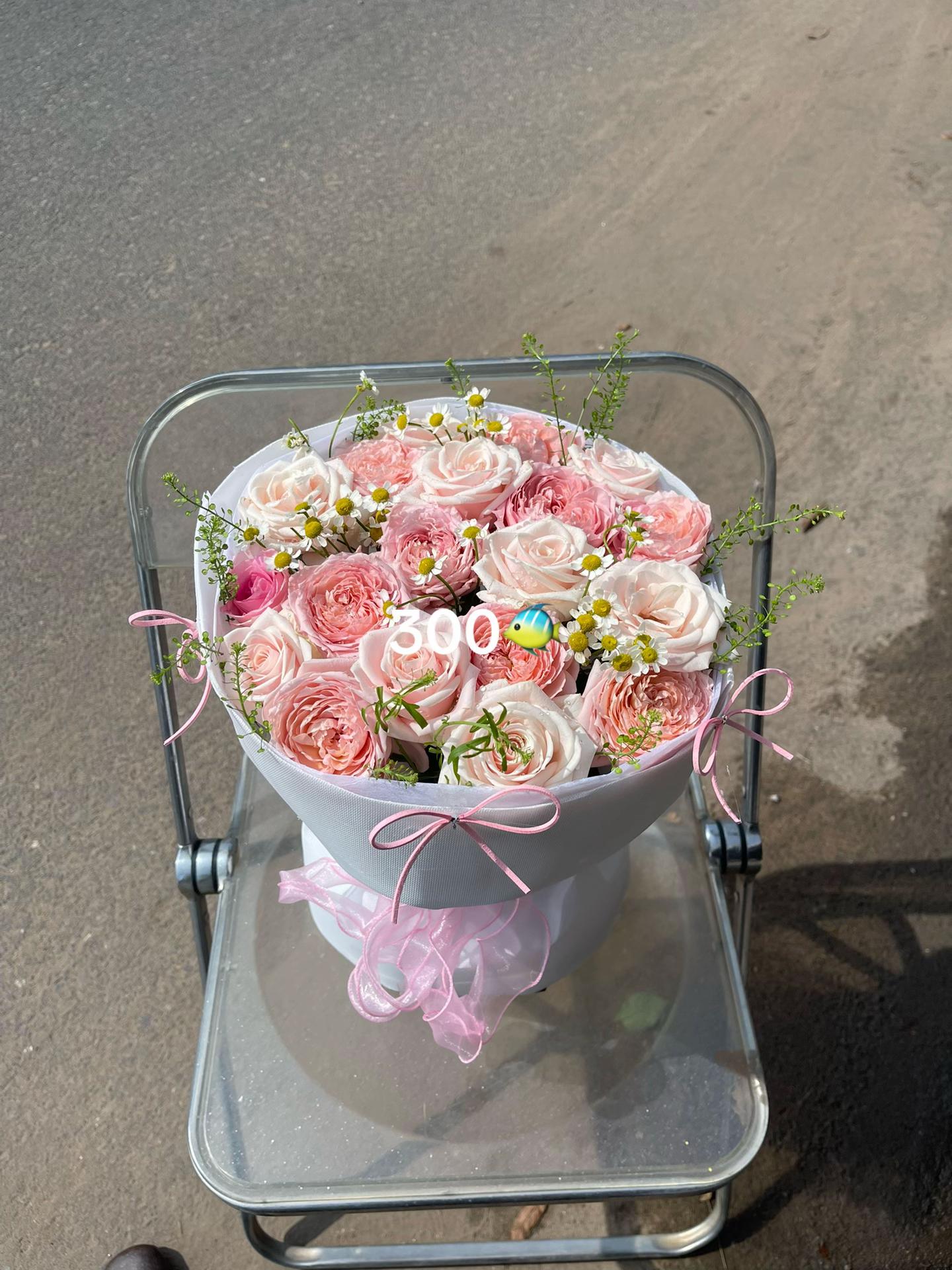 @Shop hoa MIMOSA TÂY NINH CŨ