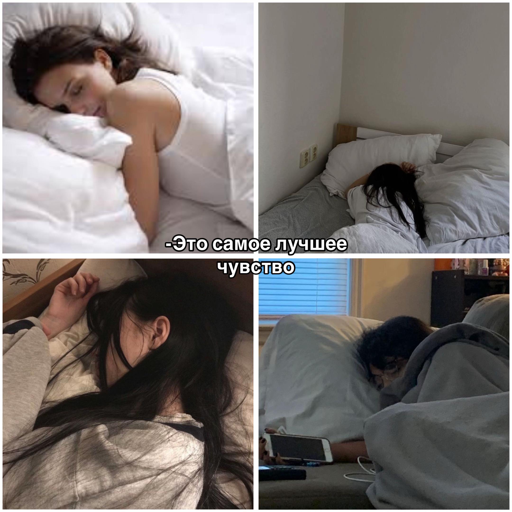 @avida