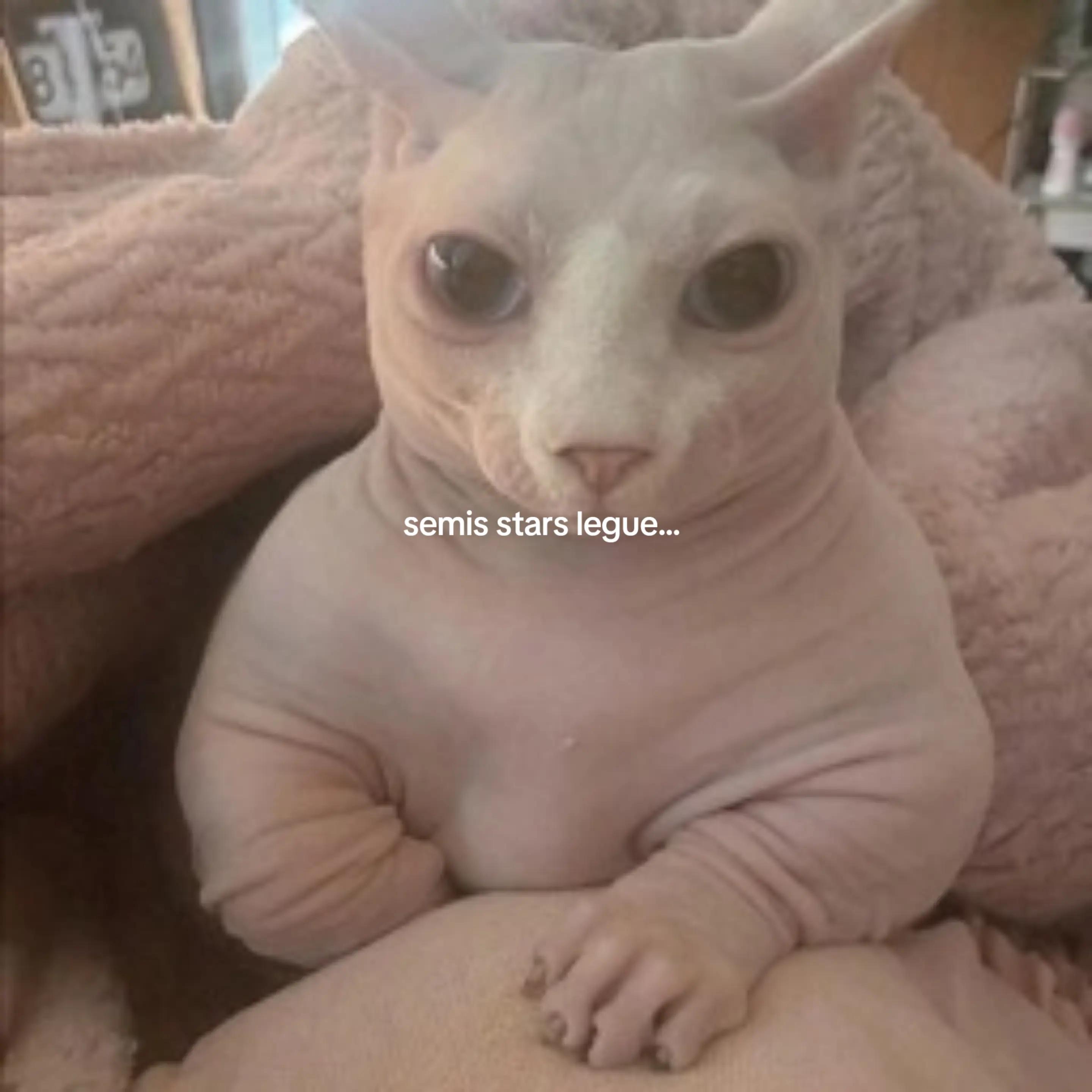 @𝑀𝑜𝑛𝑡𝑒𝑟𝑟𝑒𝑦 𝐵𝑙𝑎𝑐𝑘?