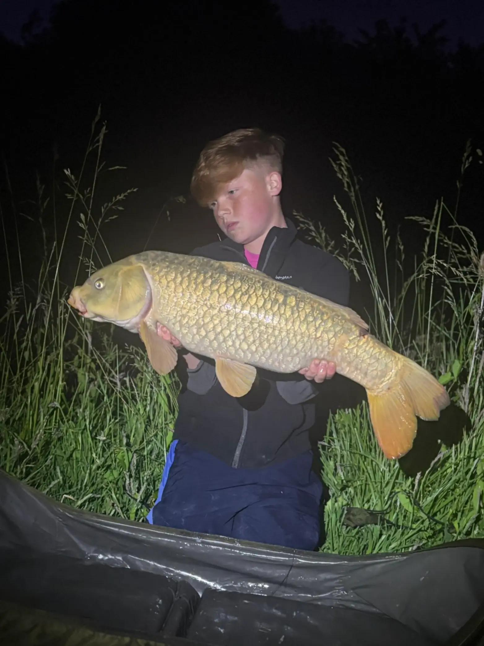 @Carpy Brez