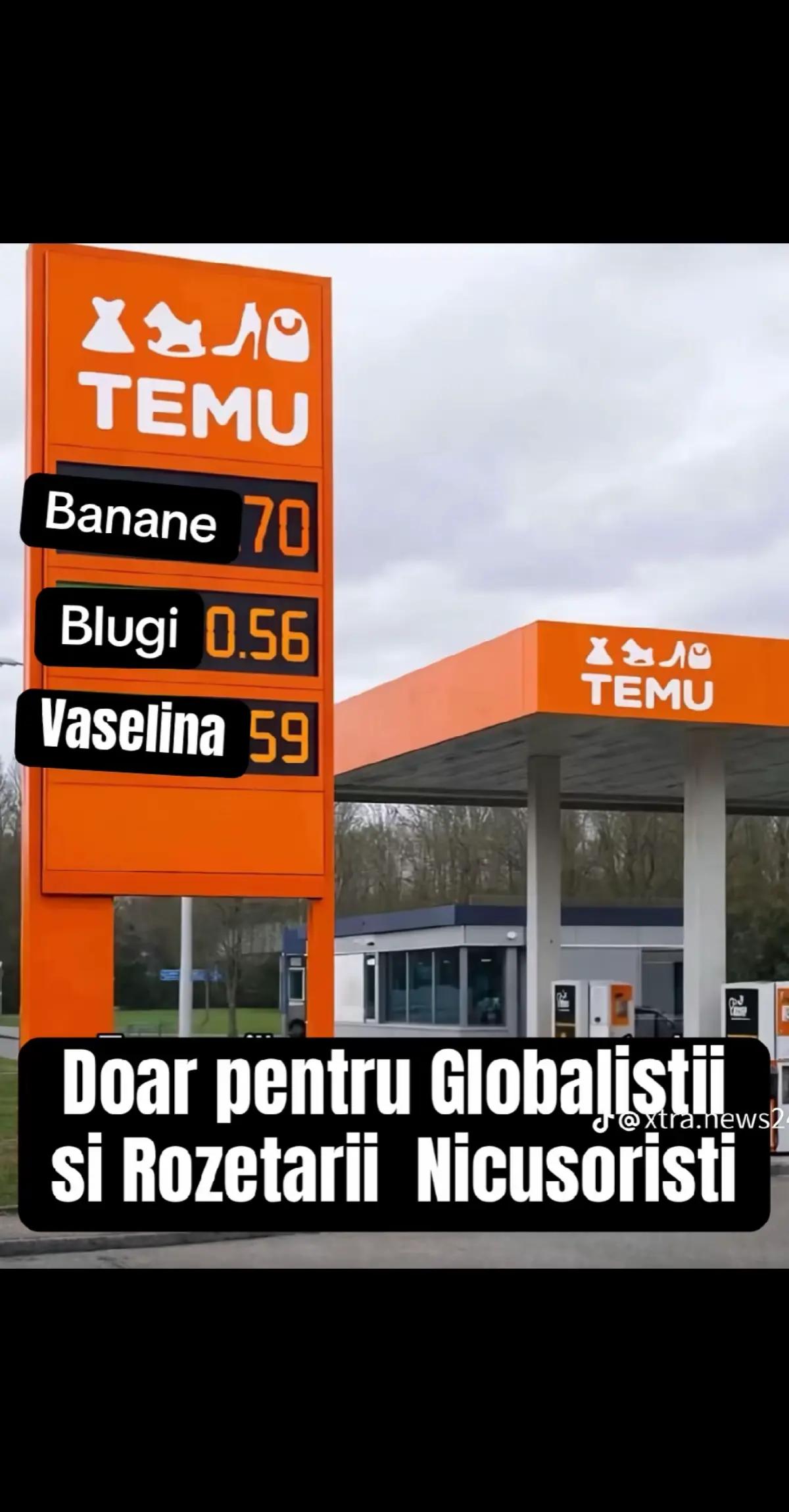@vicenziu-daniel