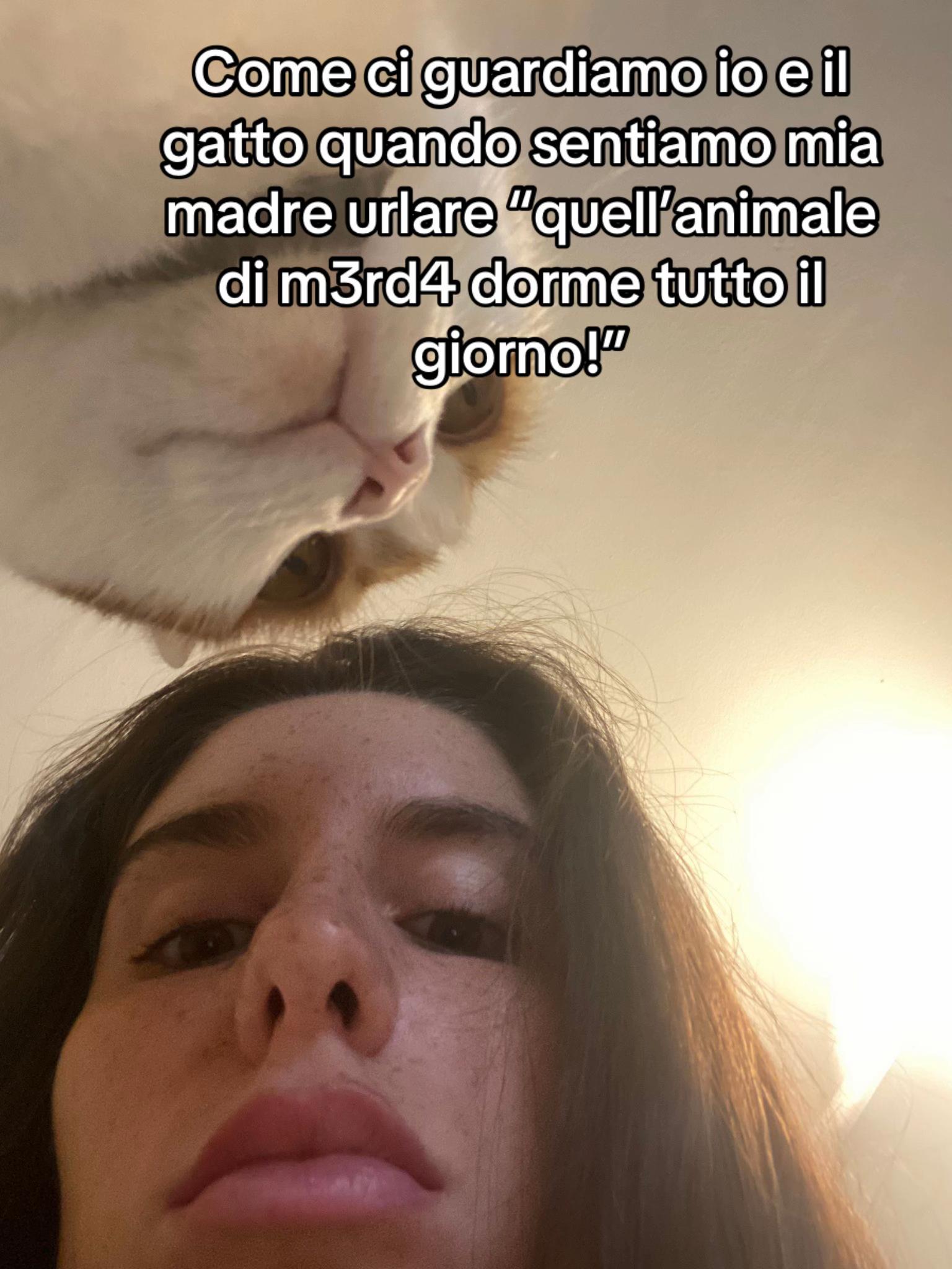 @Sofias🤫