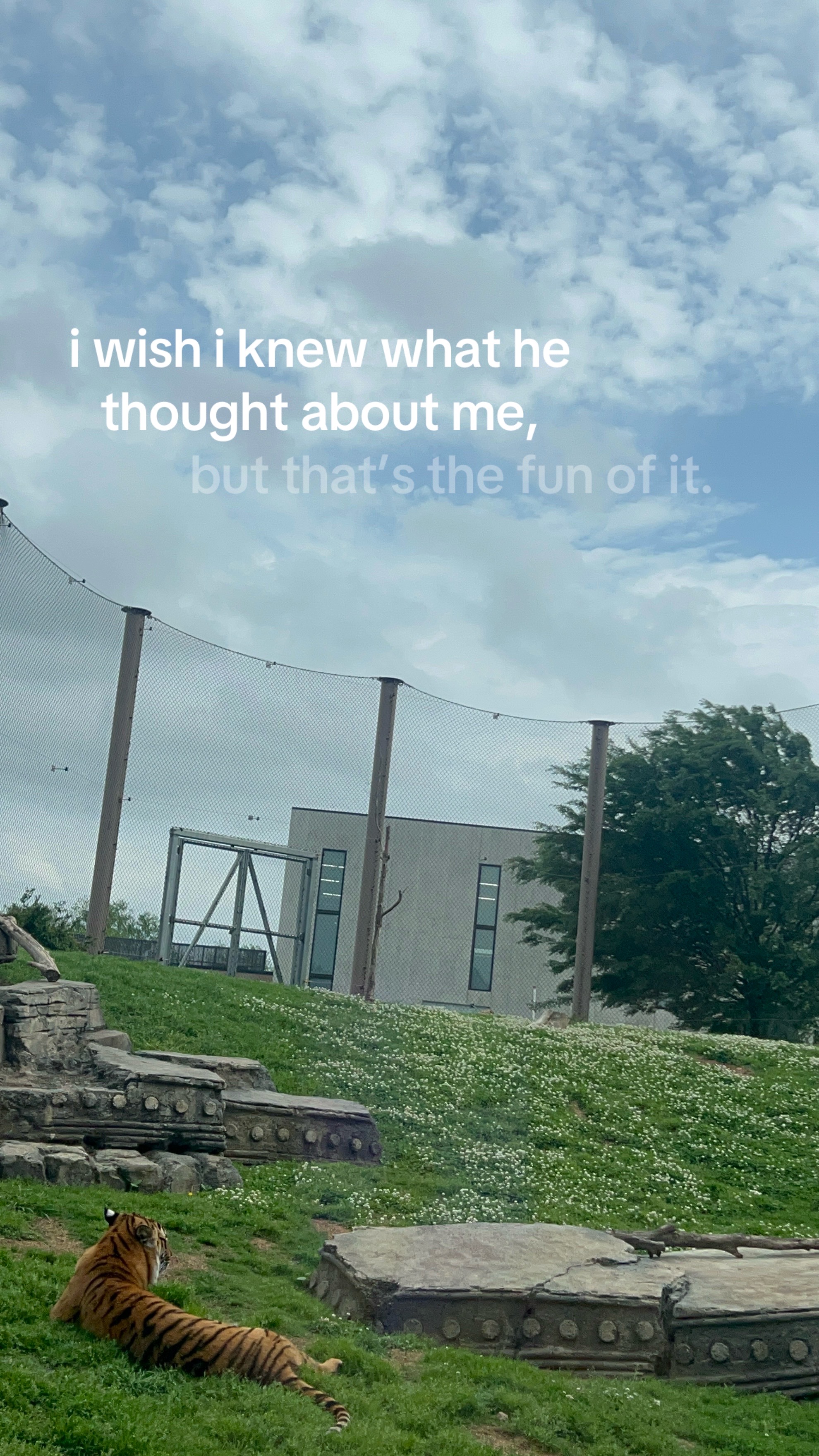 @һᥱᥣᥣkᥲ𝗍