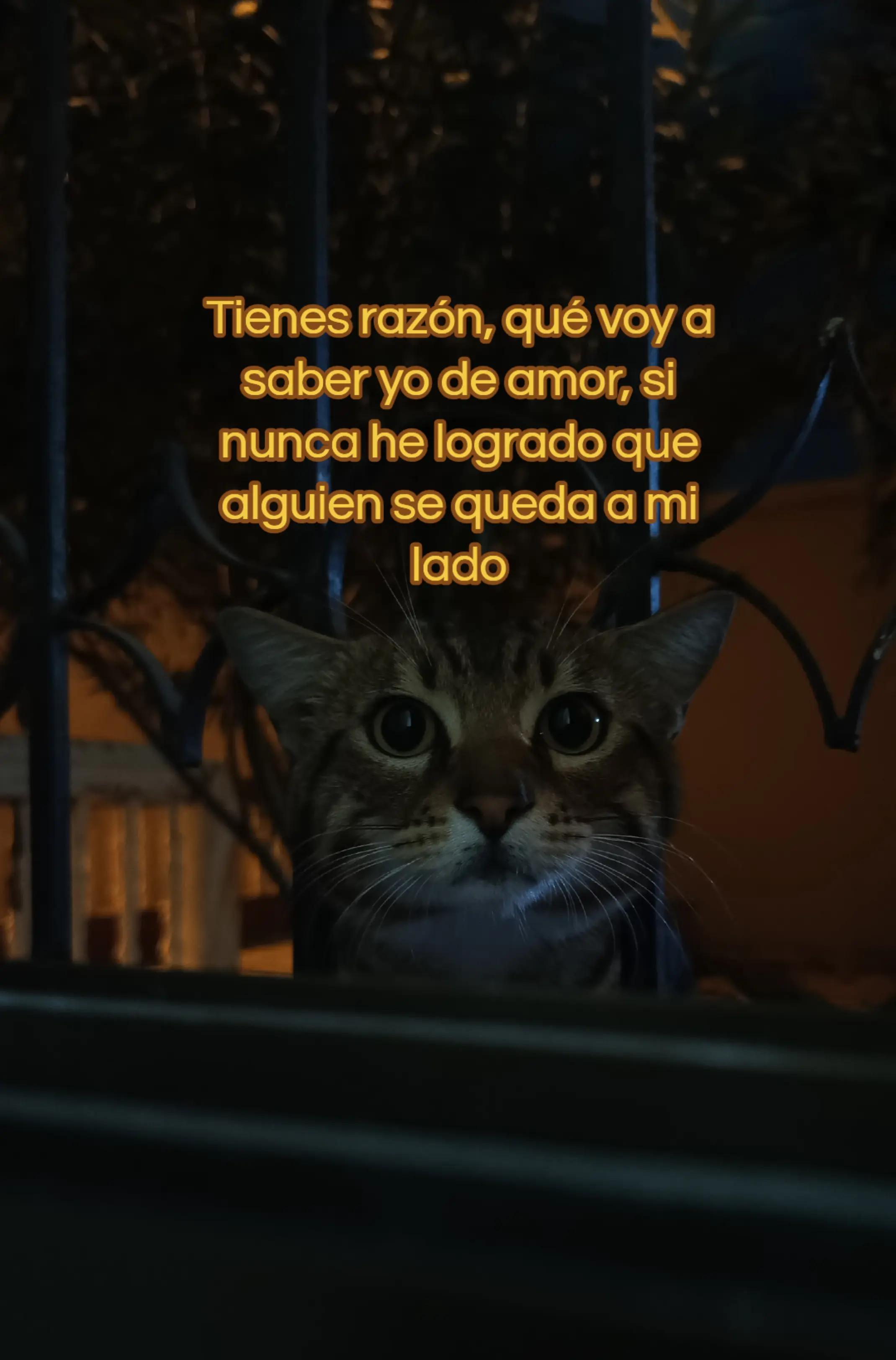 @🥀_YARI_🥀
