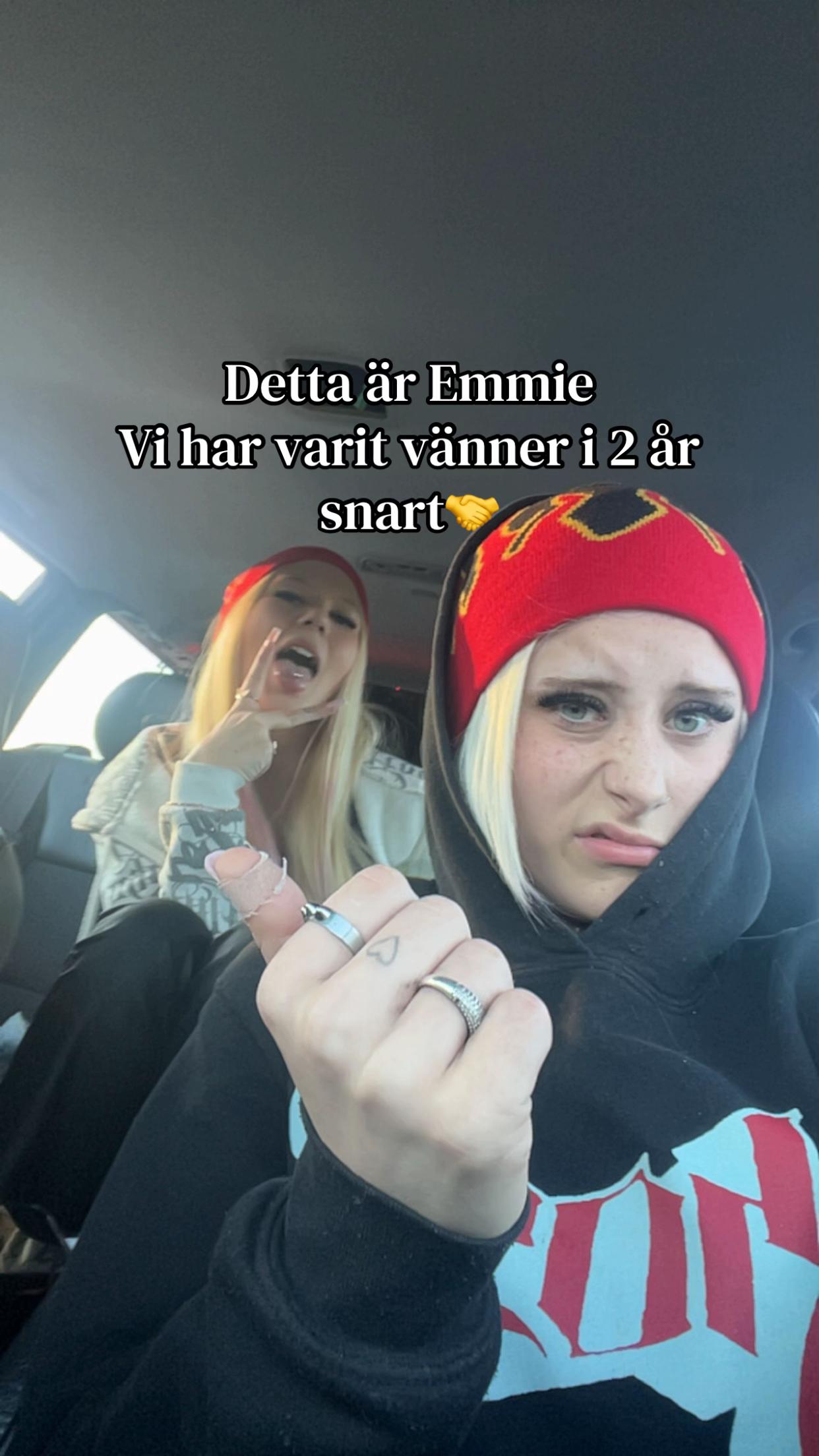 @&rdquo;T&ouml;rnrosa&rdquo;