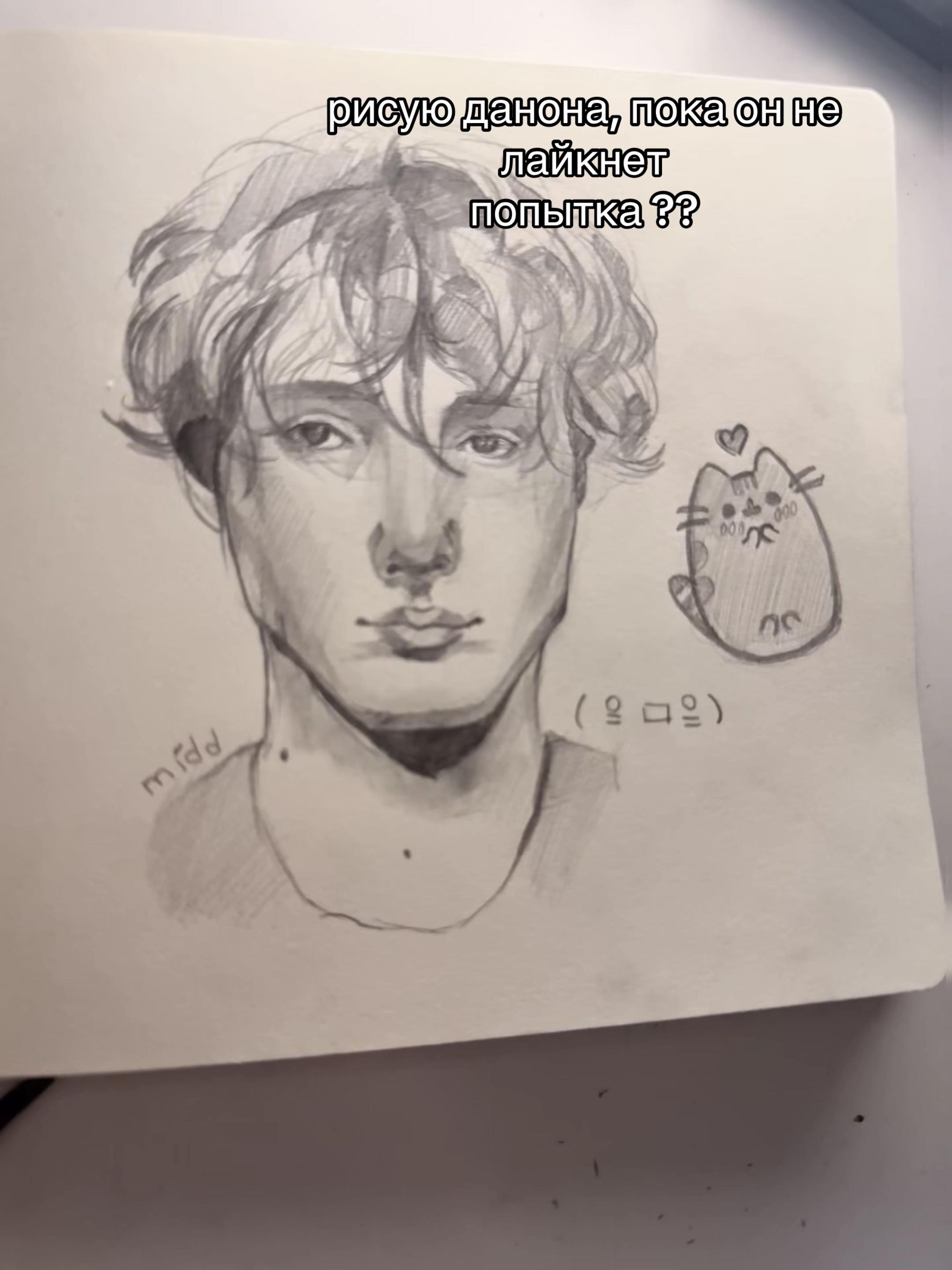 @мидийная