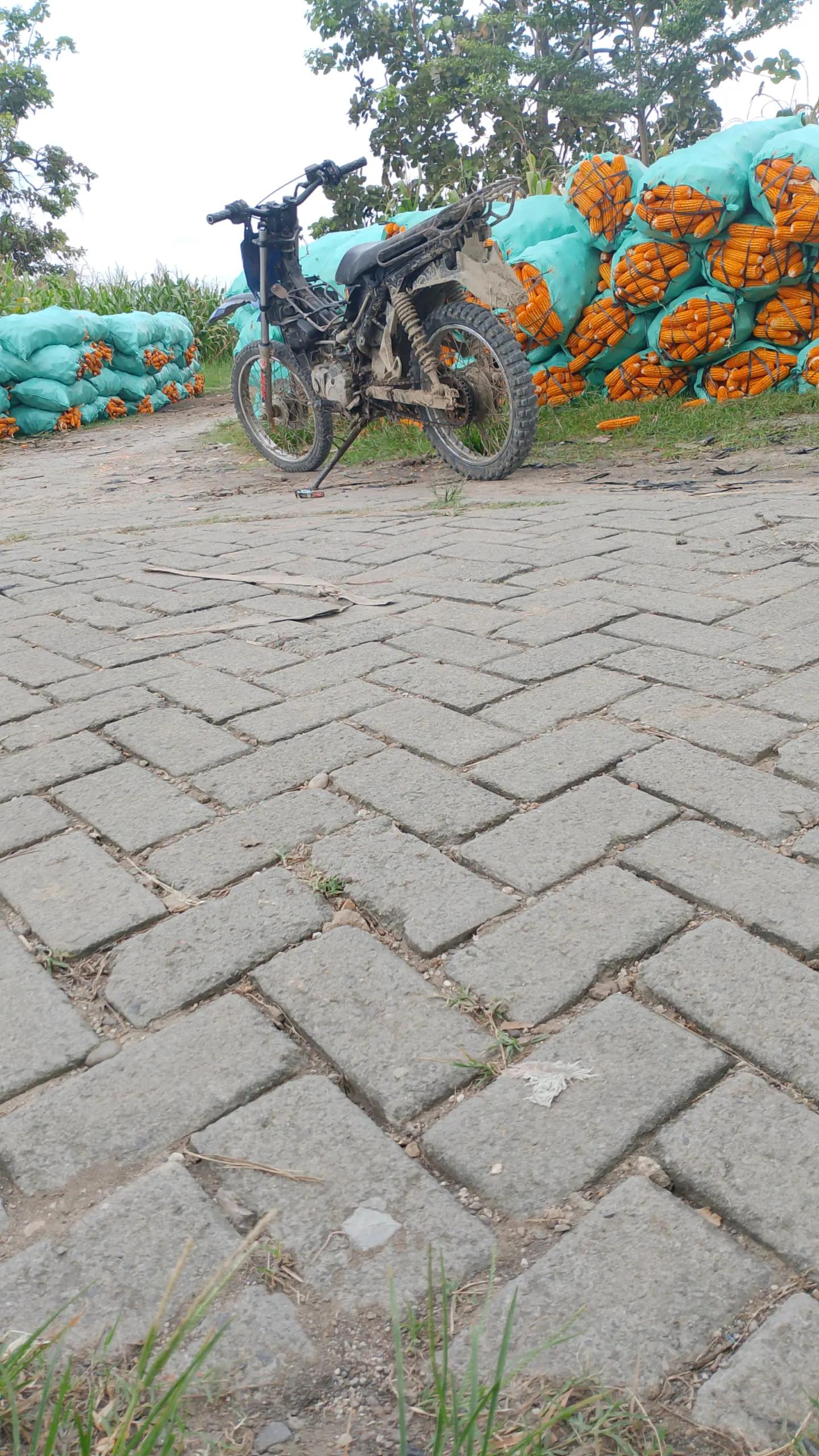 @petani melenial