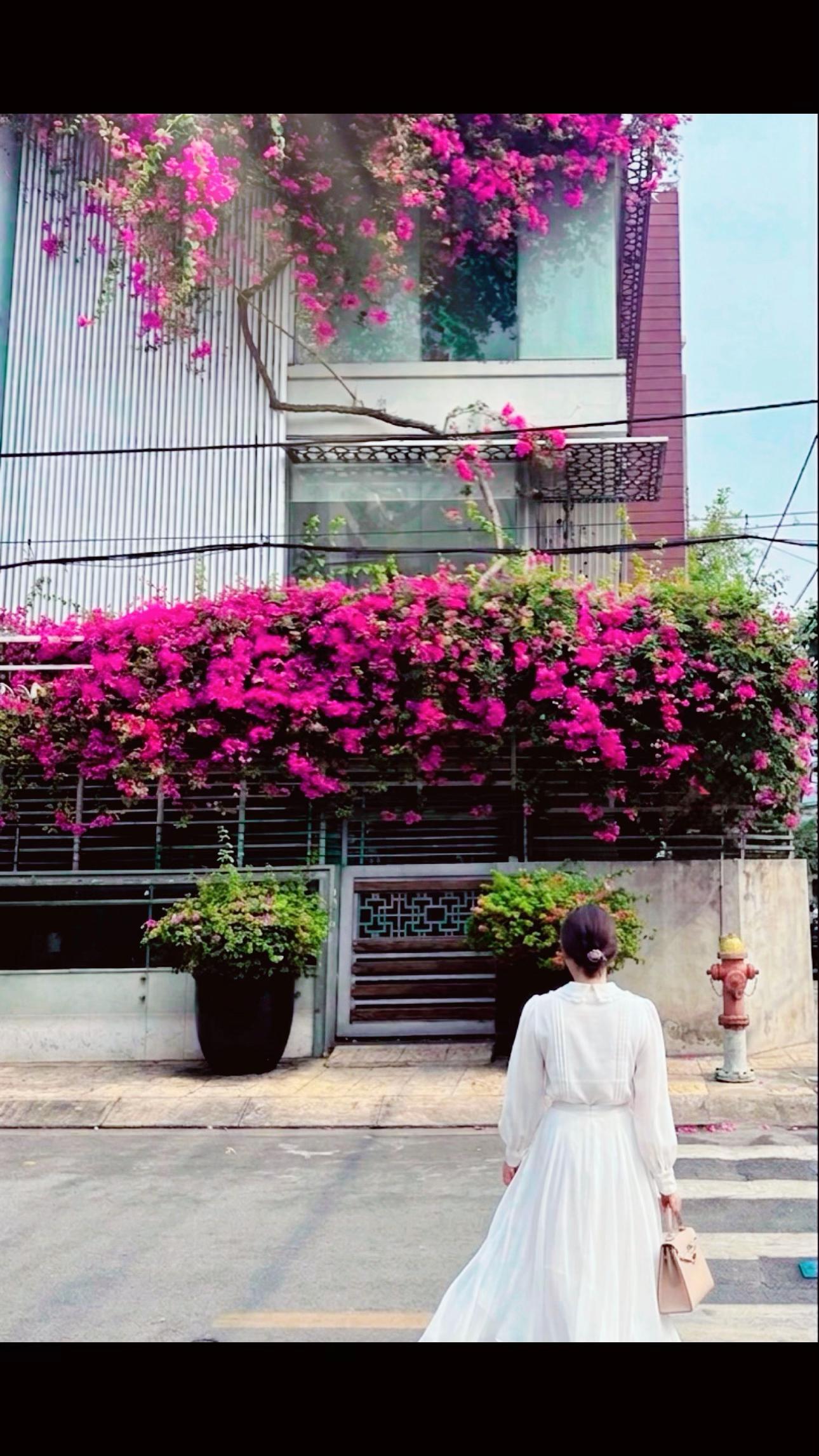 @Cecilia Phạm