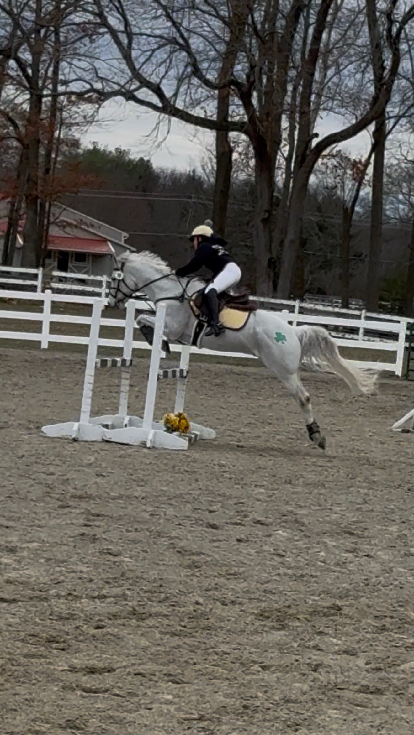 @Hope & Horses