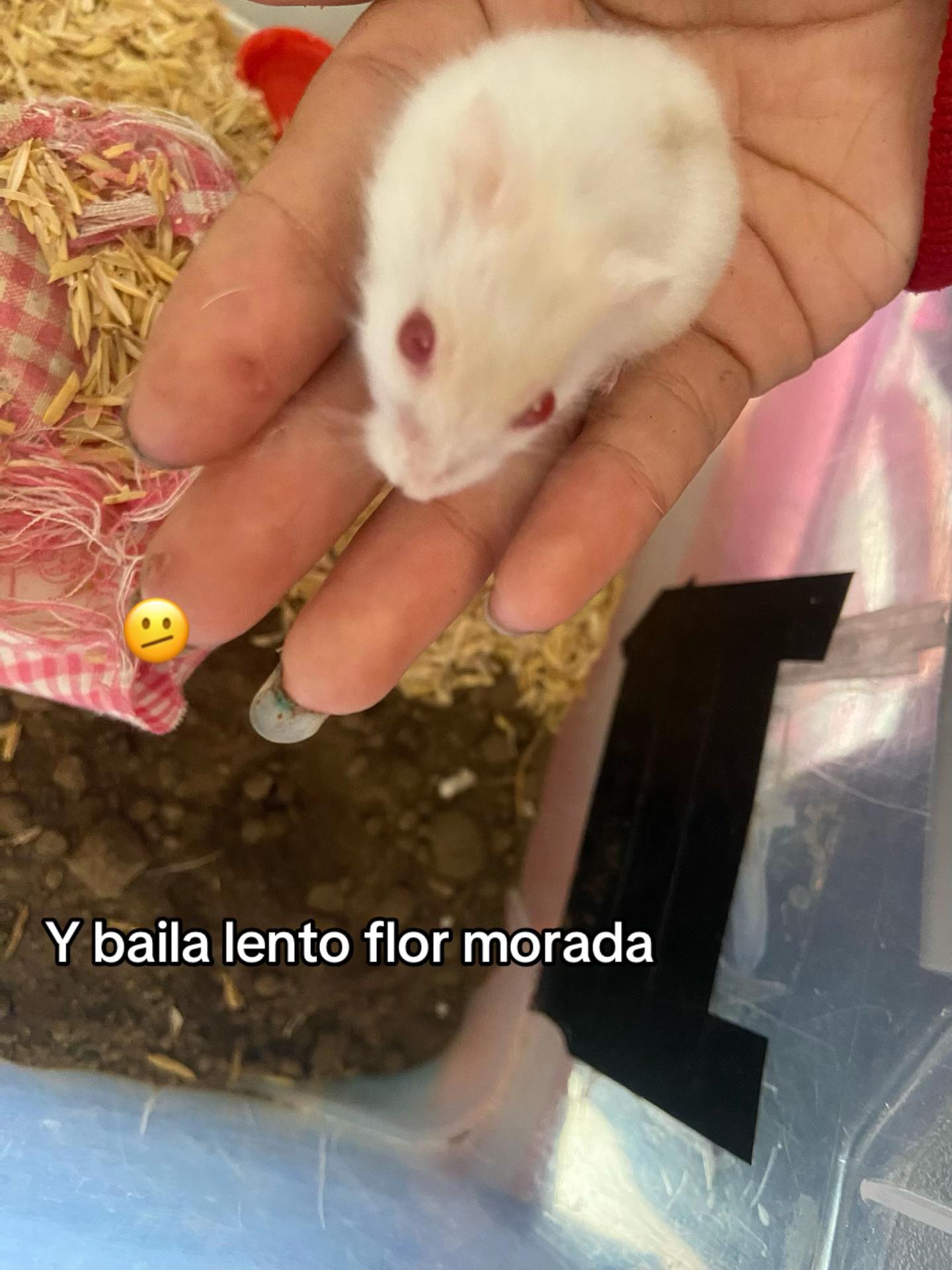 @Luisaaa