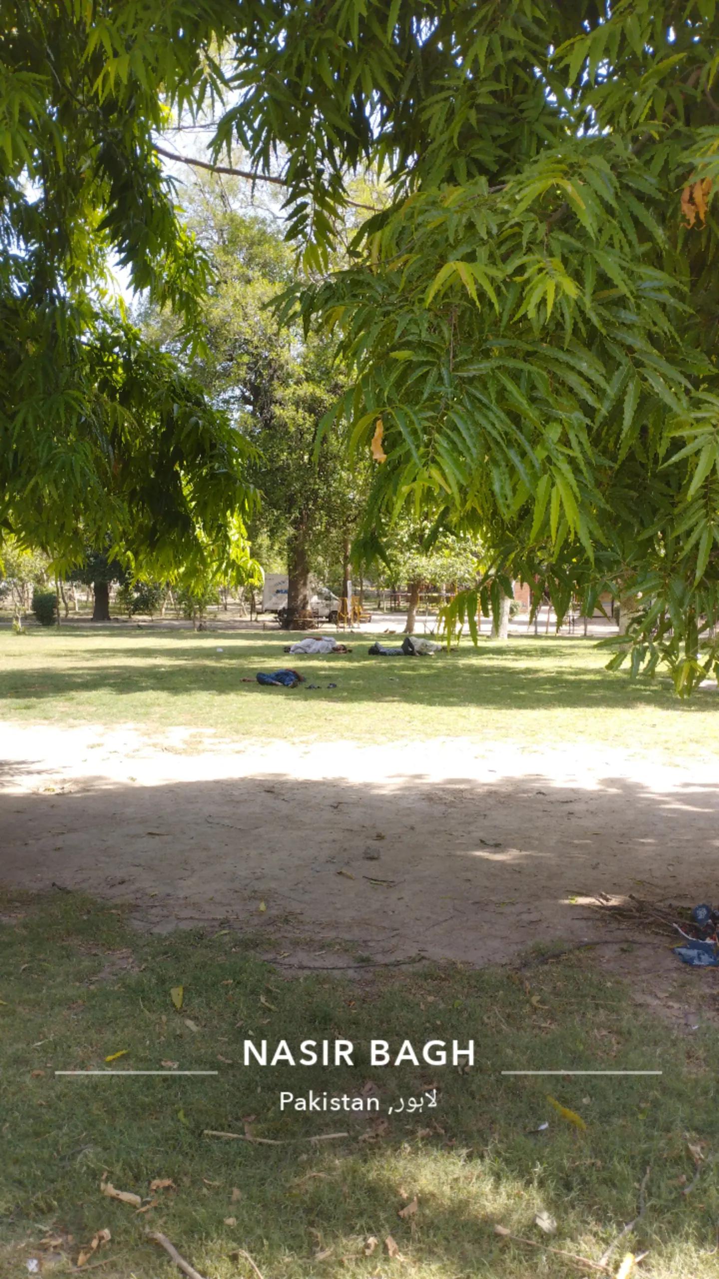 @Talha Warraich