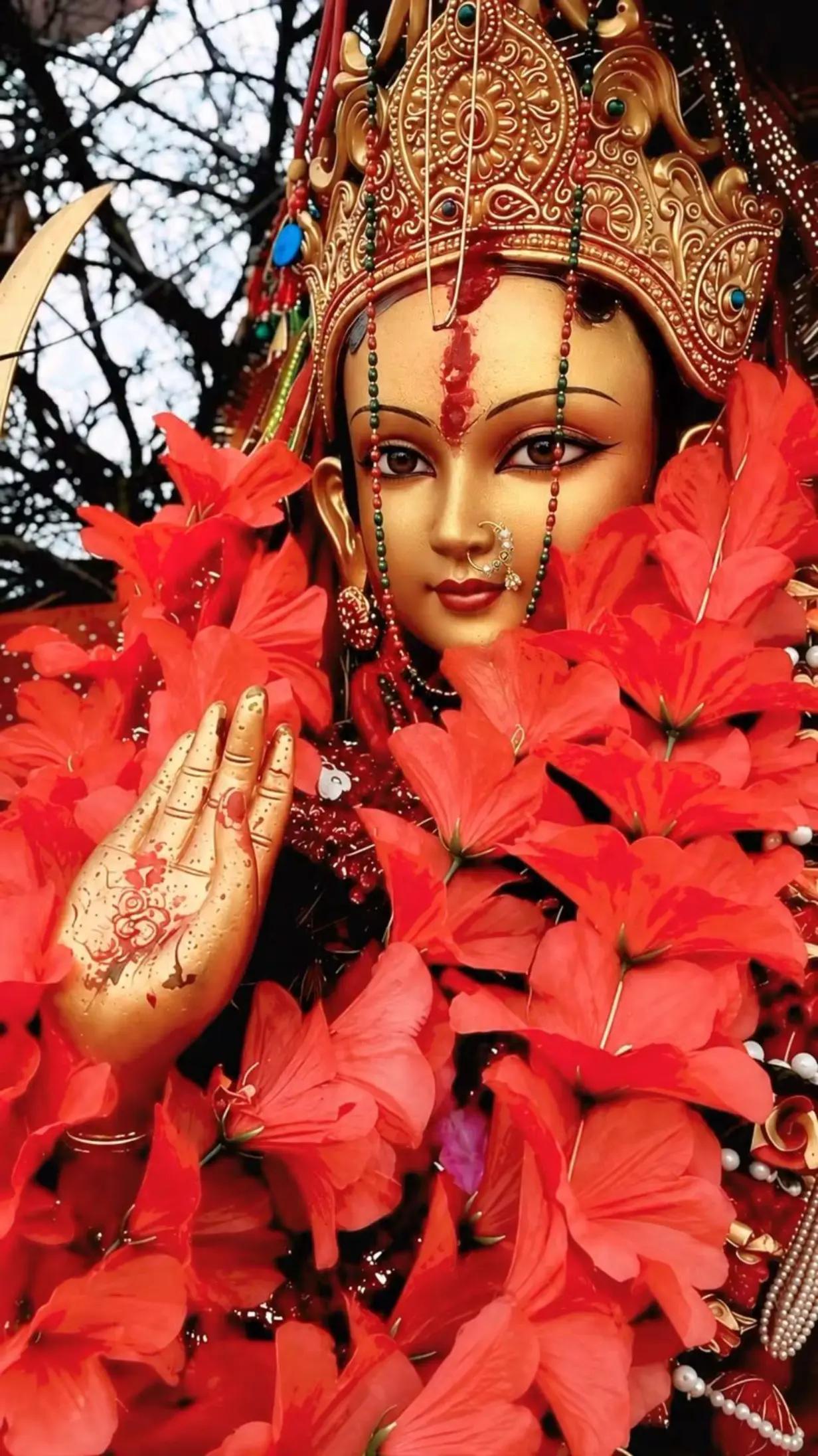 @जय माता पाथीभरा