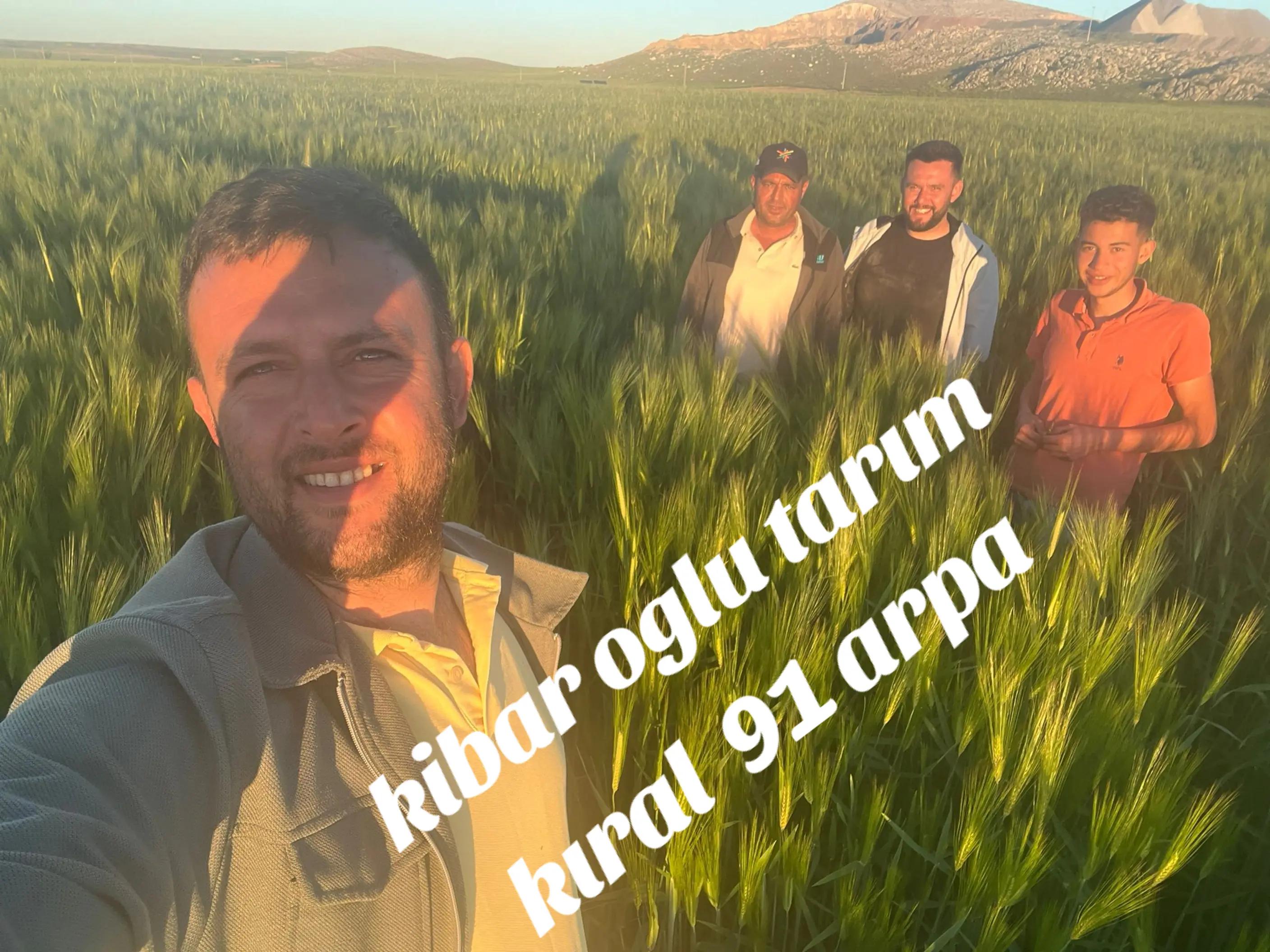@bekir kibar