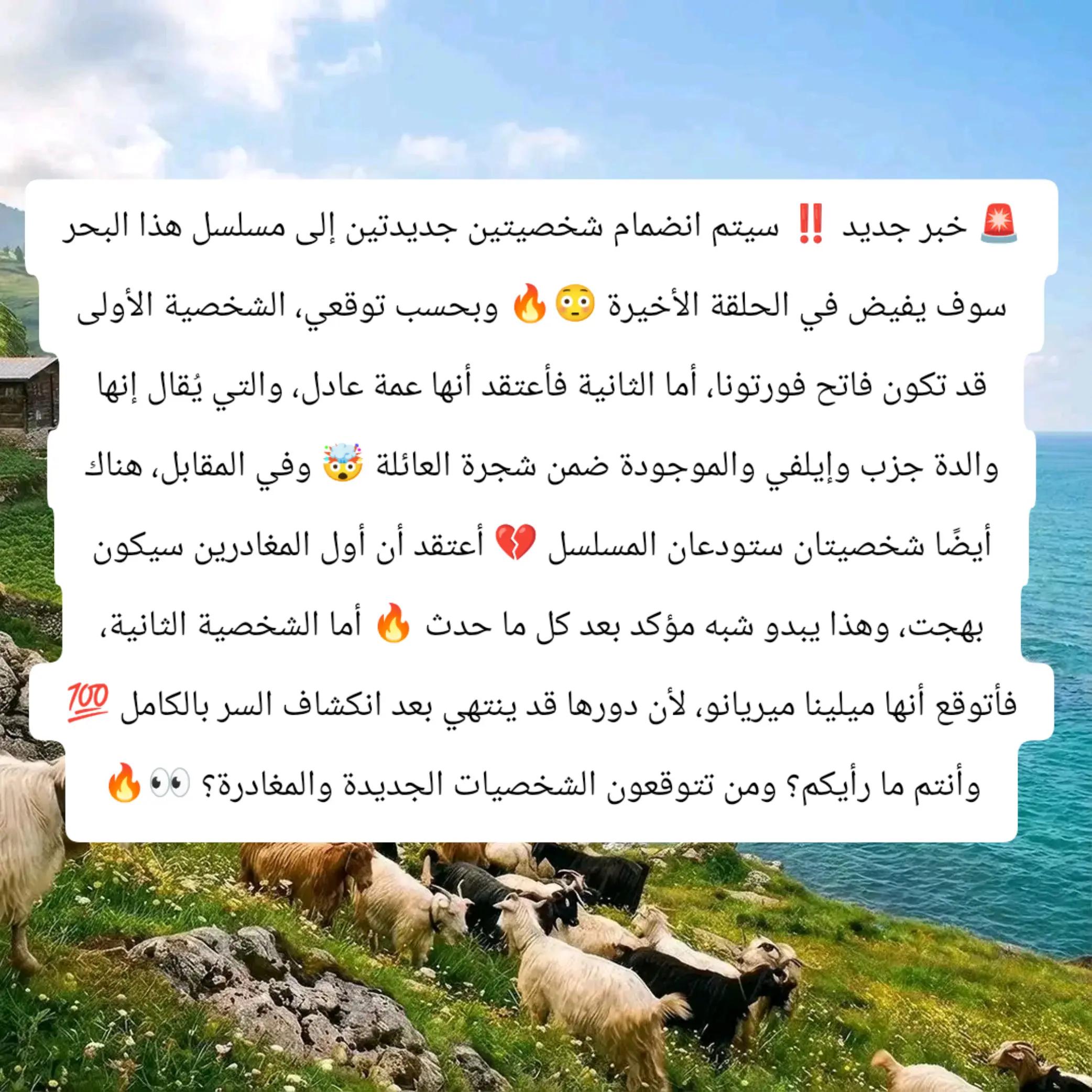 @basmat amel Anka