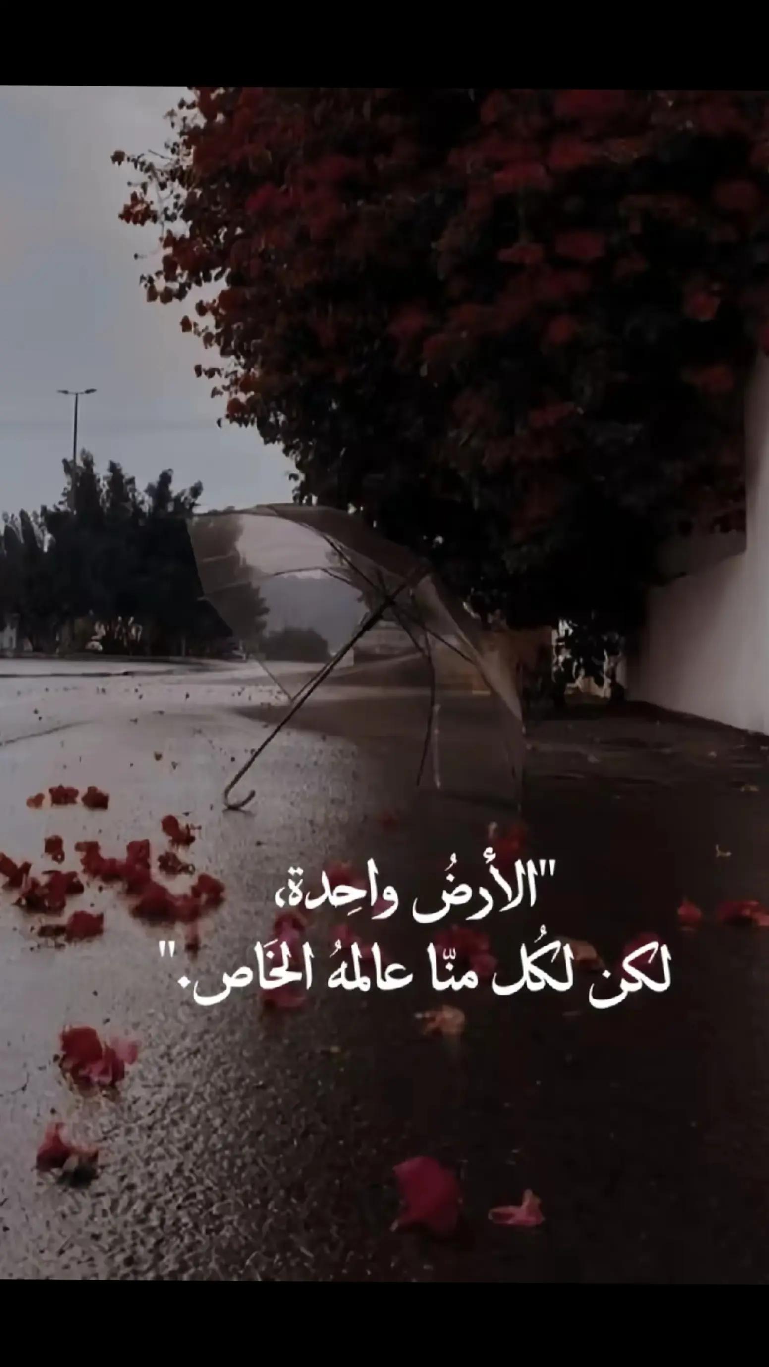 @فخرالدين ثابت♕@fkhraldyn🇾🇪✨