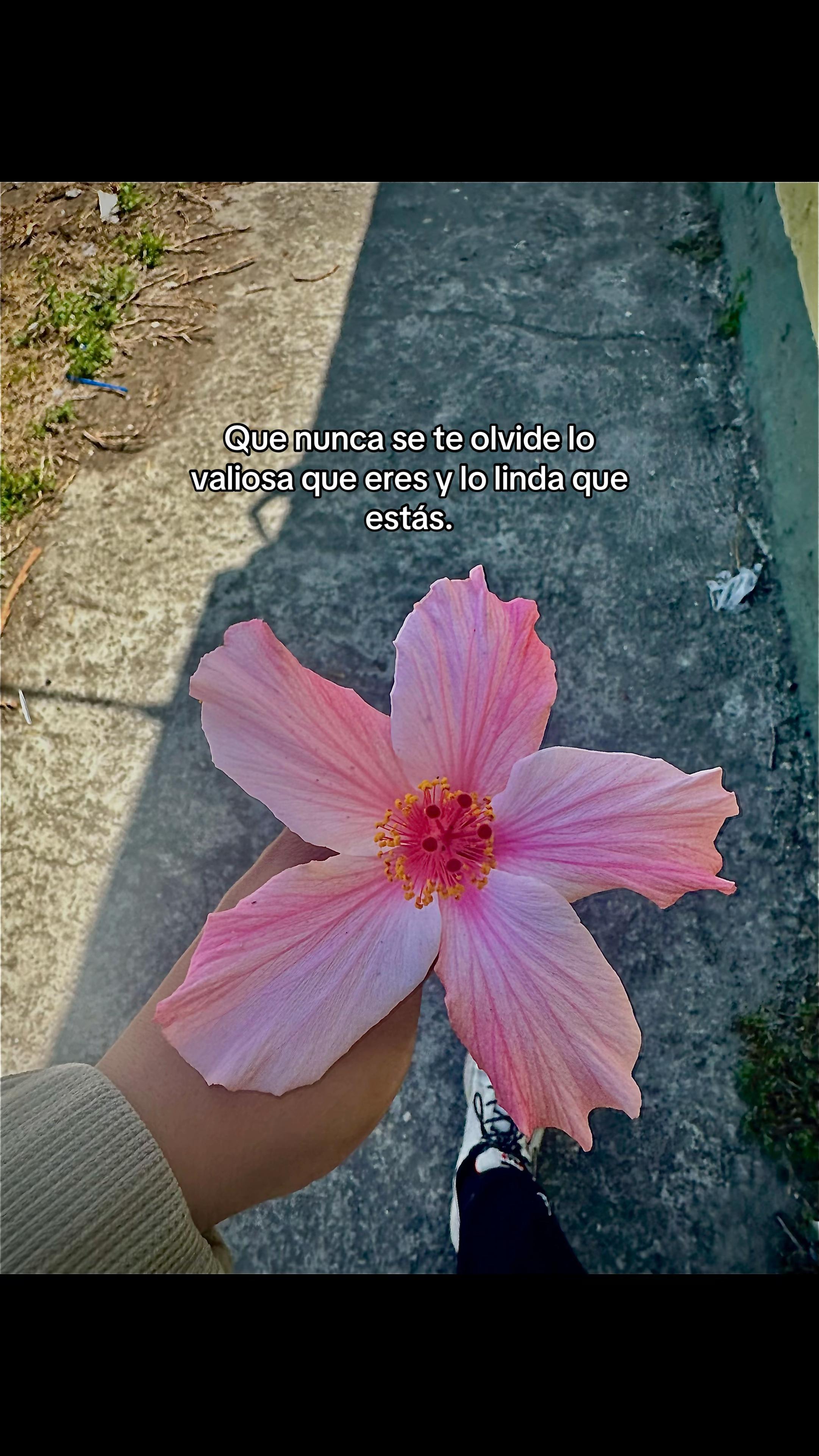 @Dannilo Ganán