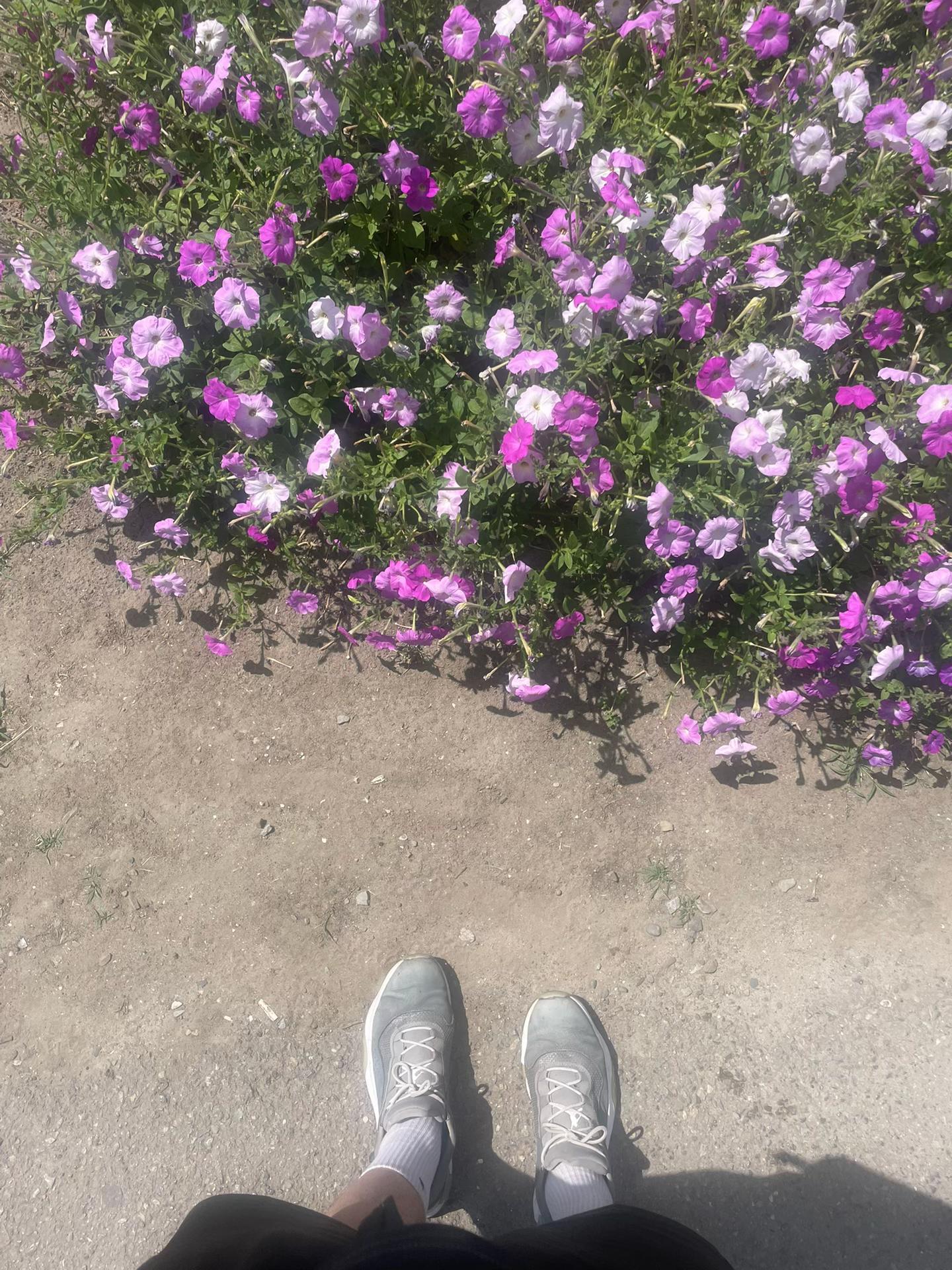 @ТГК: Баскетбой