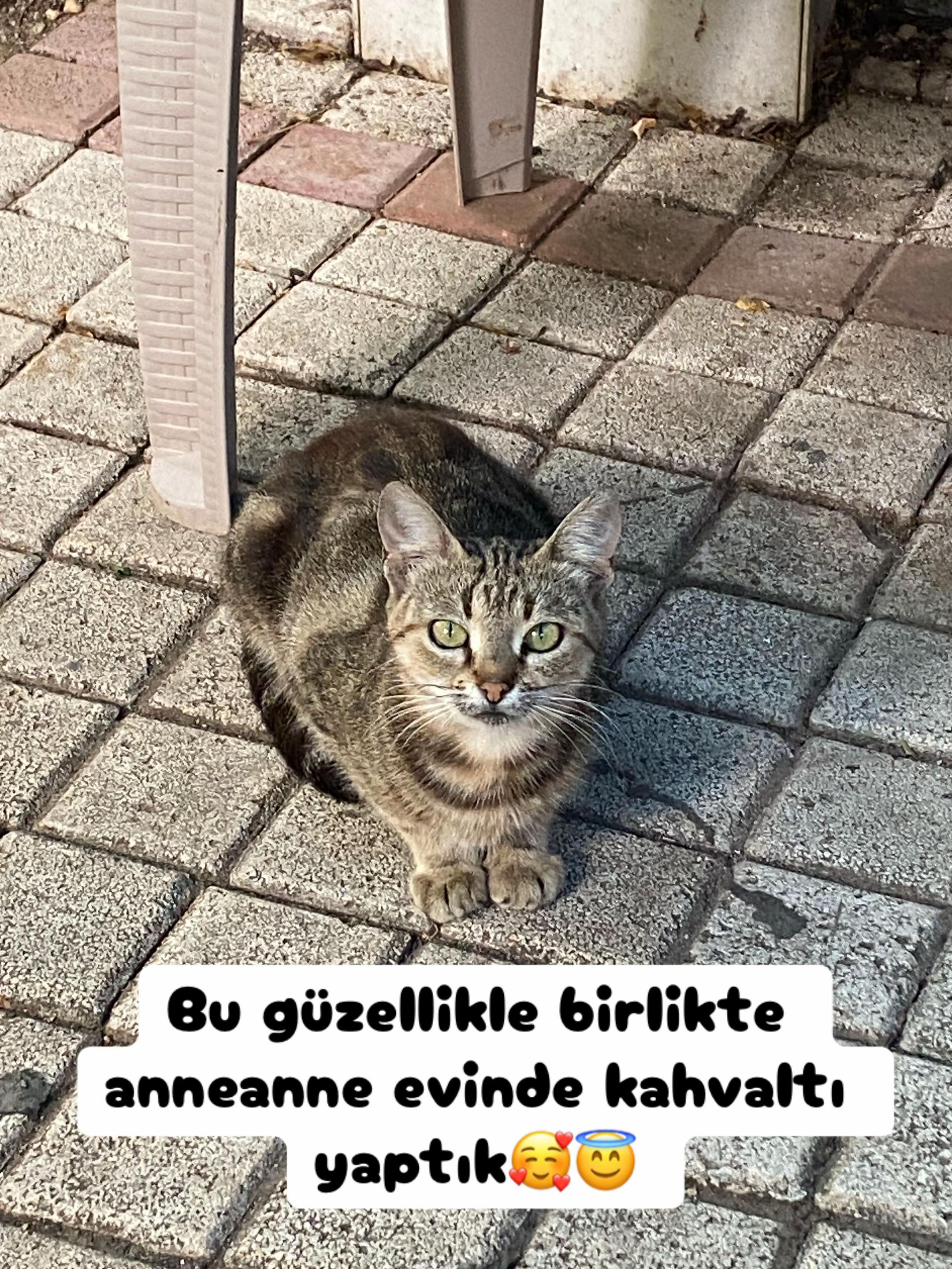 @Şapkalı Kadın