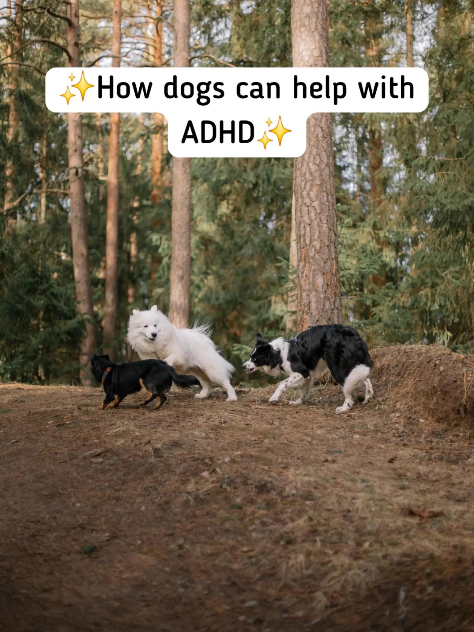 @ADHDDiagnosis