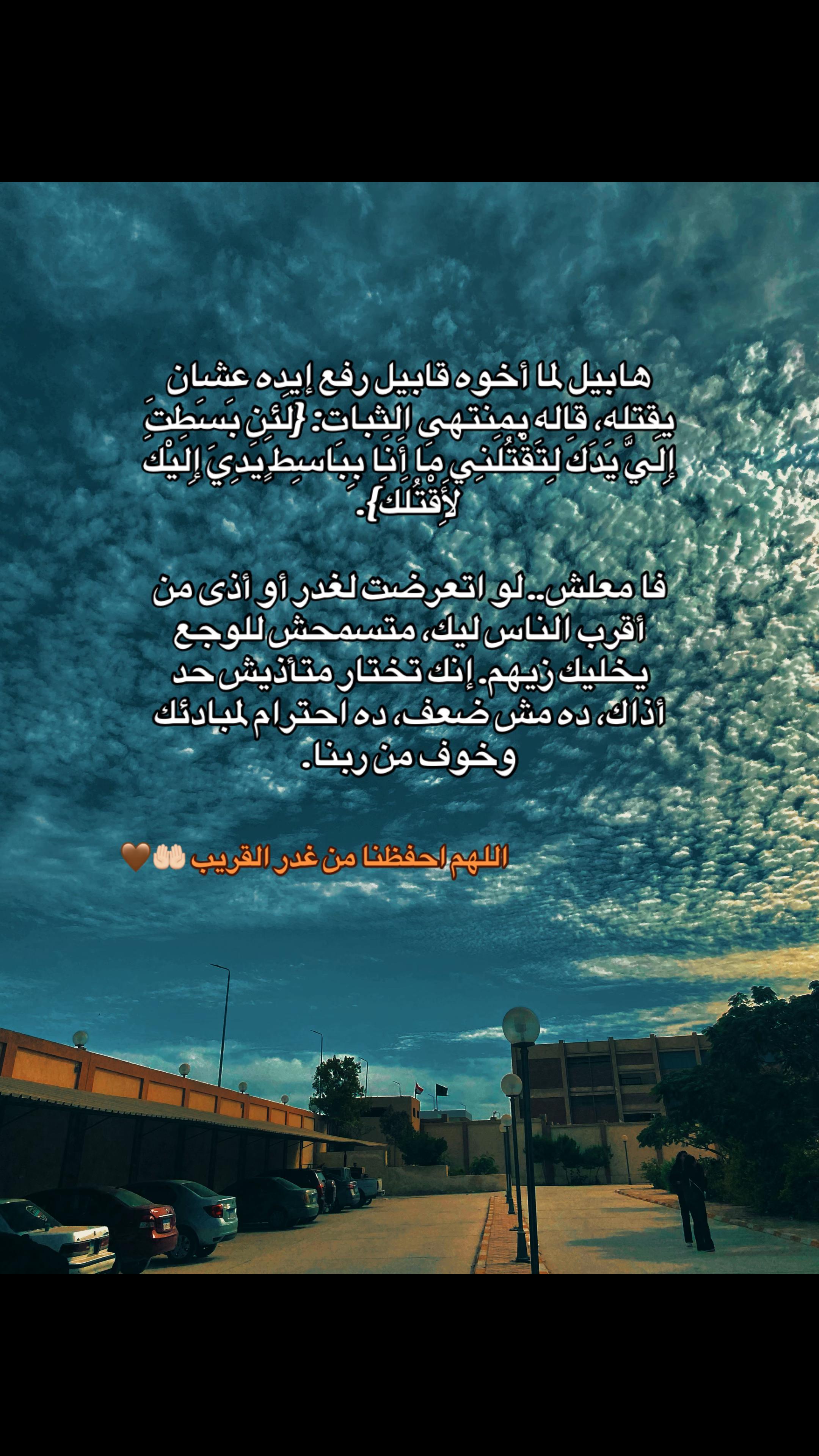 @Mostafa ุจูู Hassan๐ฅท๐ฉ๐ช