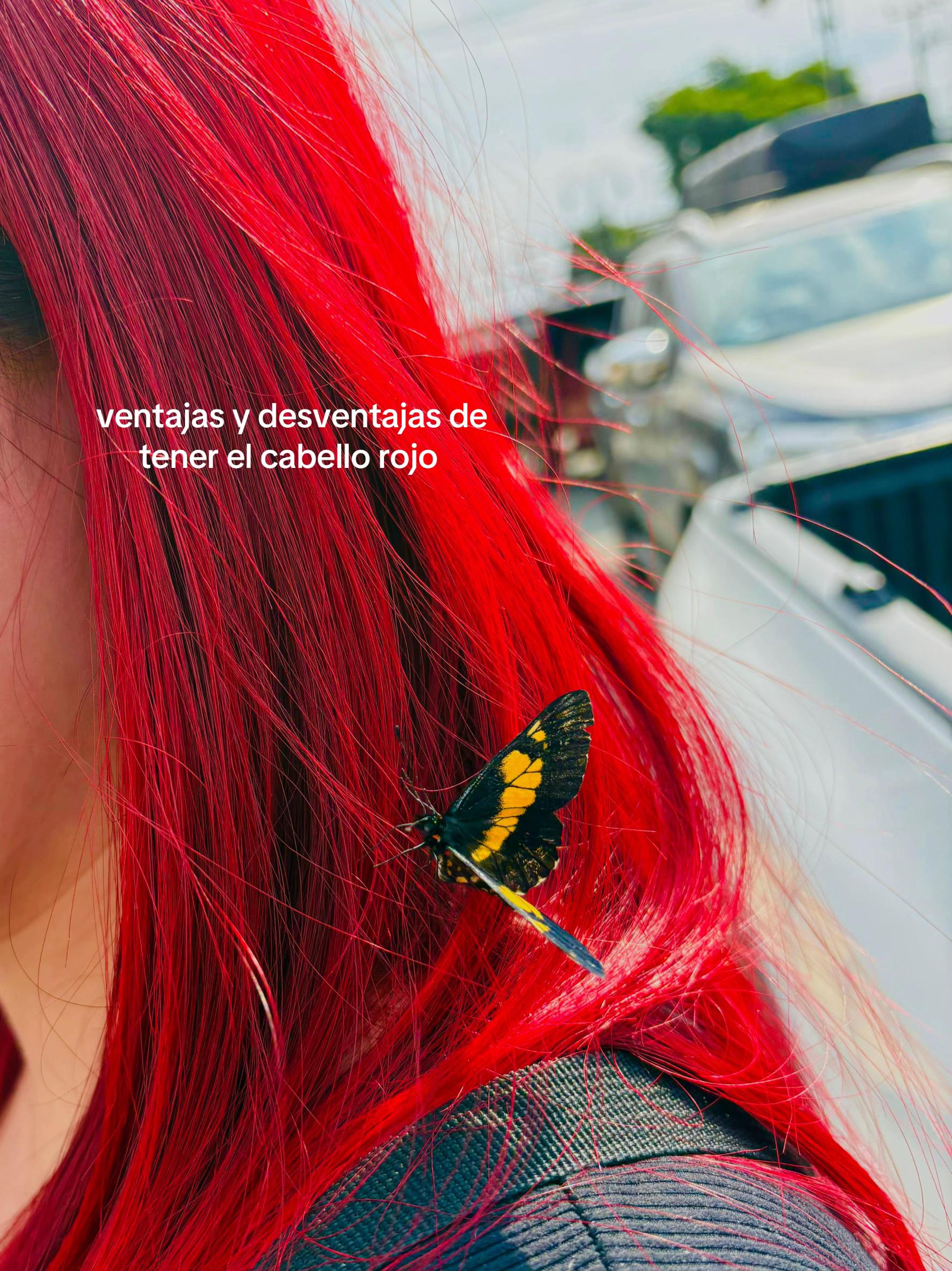 @⋆.𐙚 ̊  Brenda G&oacute;mez ⋆.𐙚 ̊
