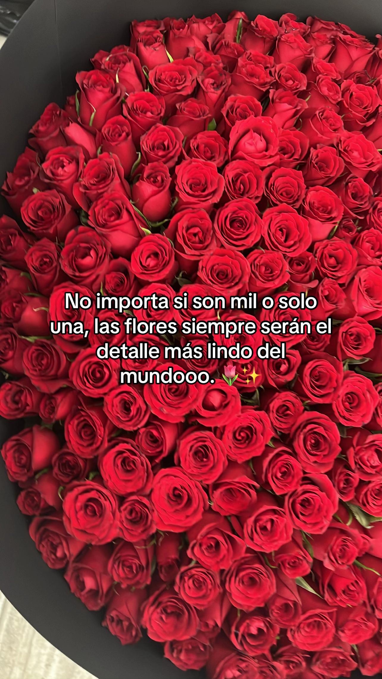 @Entre nosotras