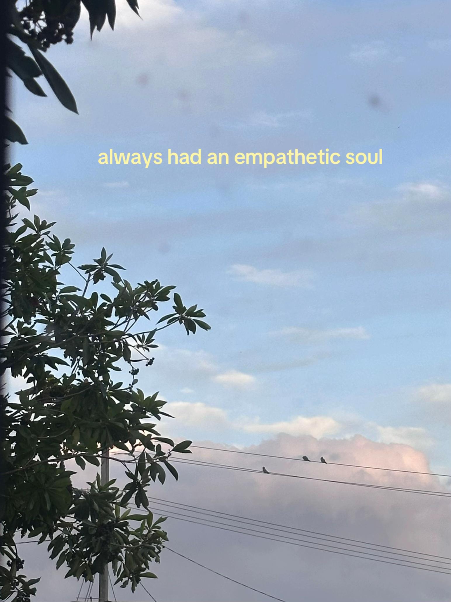 @skyeler