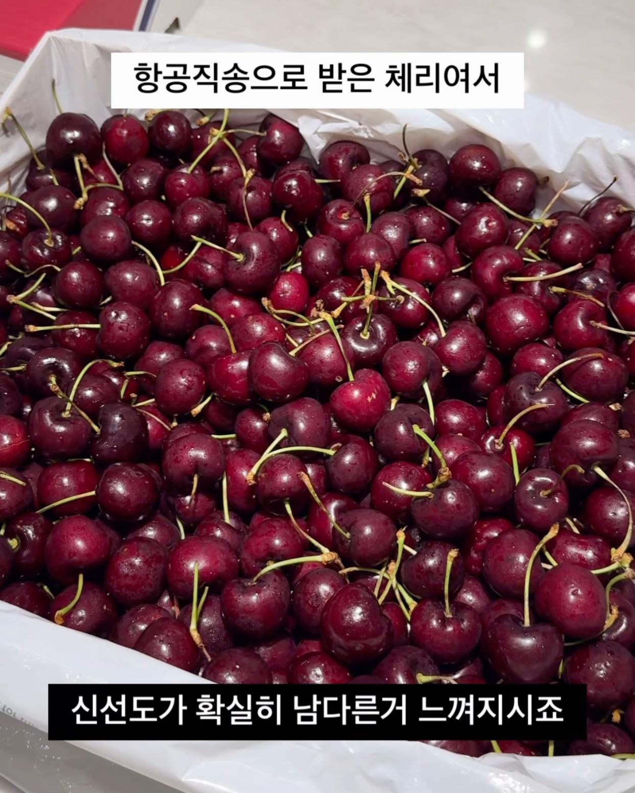 @바니얌 bani.yum