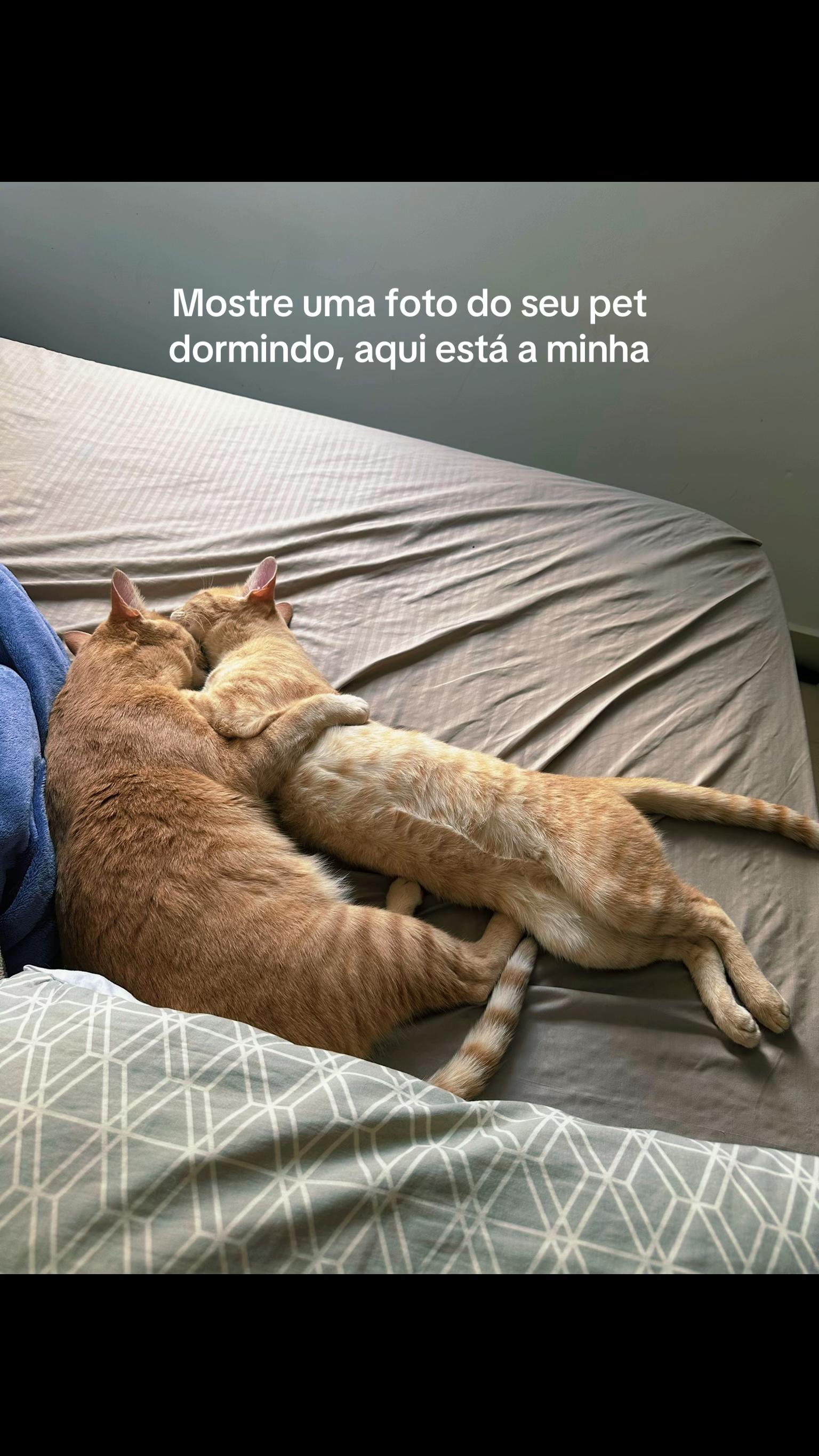 @Mônica Frutuoso