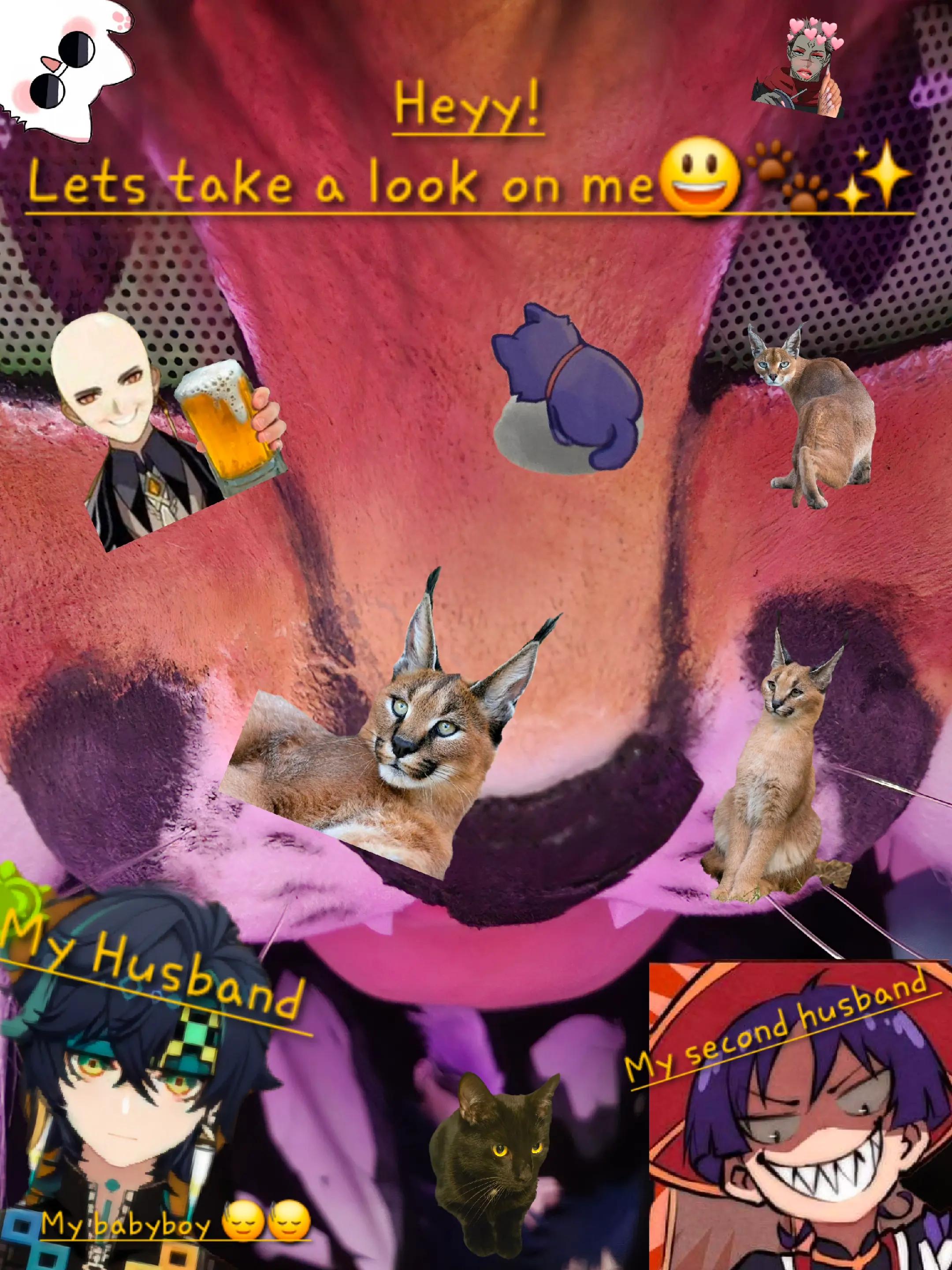 @°•☆Mikai☆•°